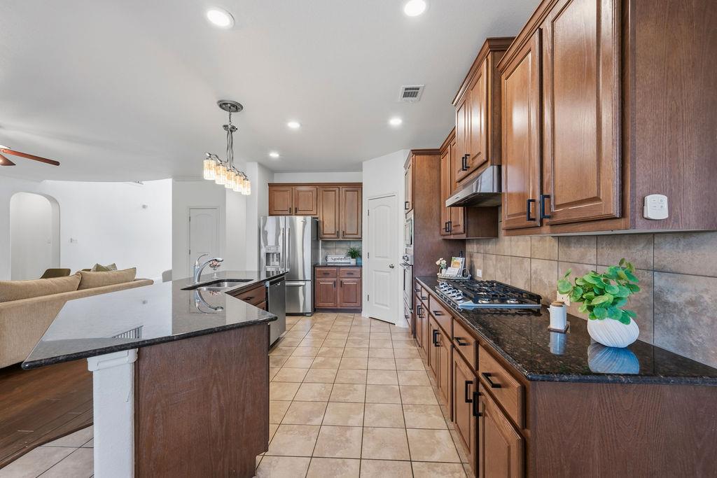 2976 Agave LOOP