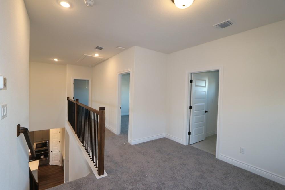 109 White Magnolia CV