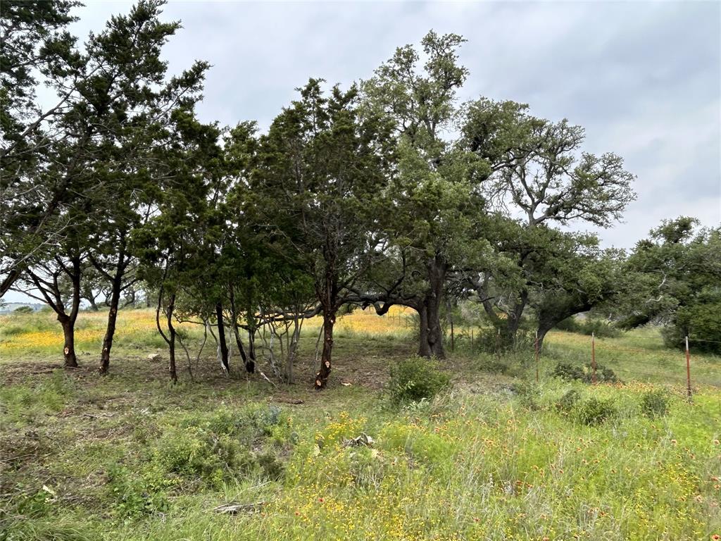 Lot 29 High Range DR