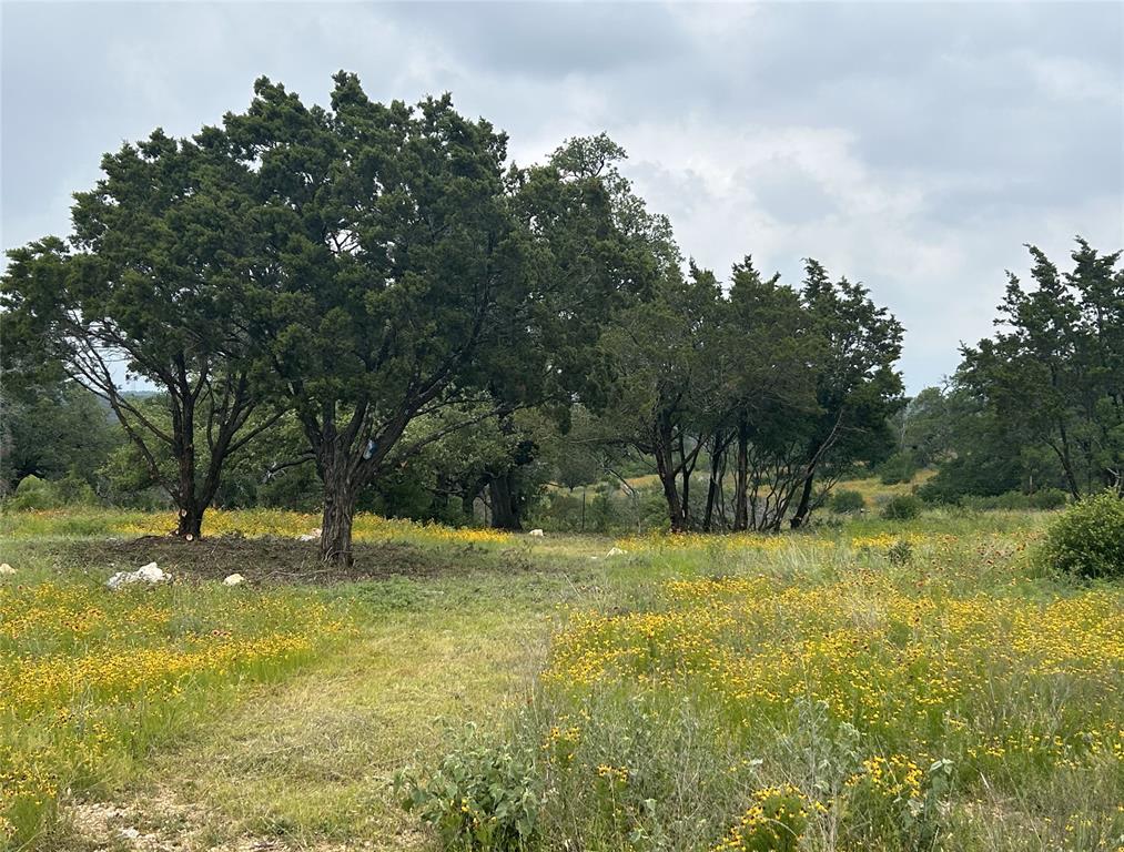 Lot 29 High Range DR