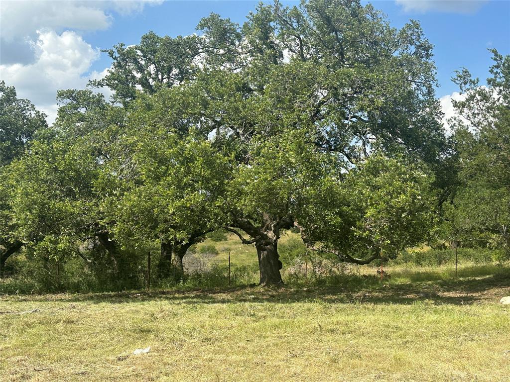 Lot 29 High Range DR