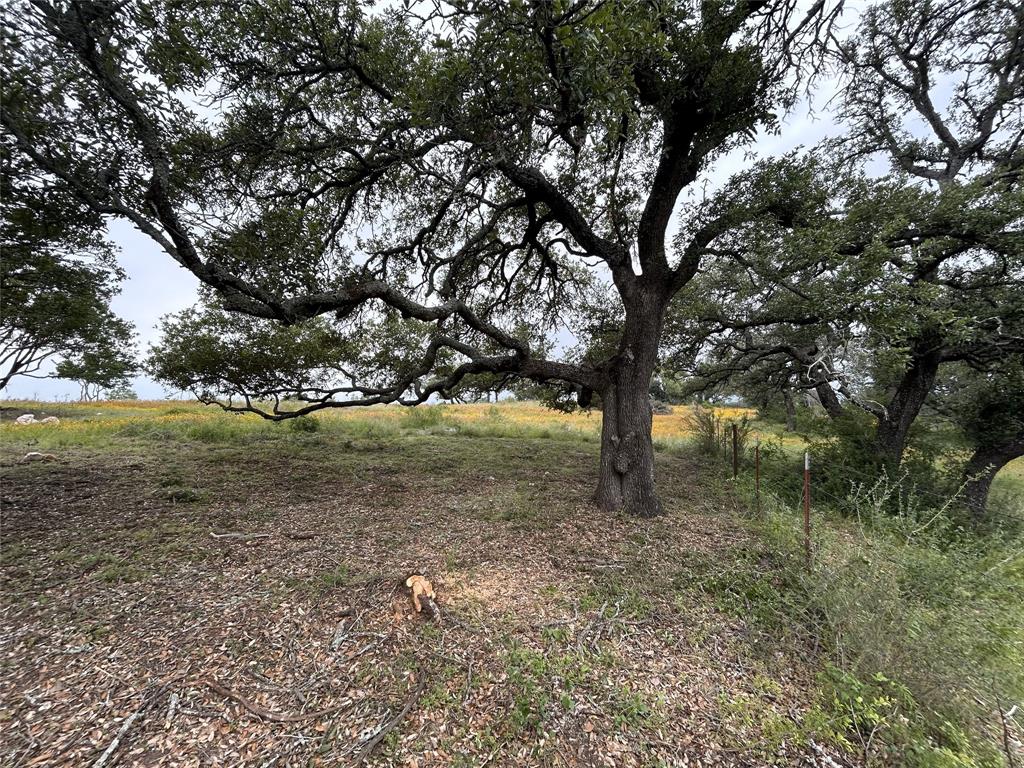 Lot 29 High Range DR