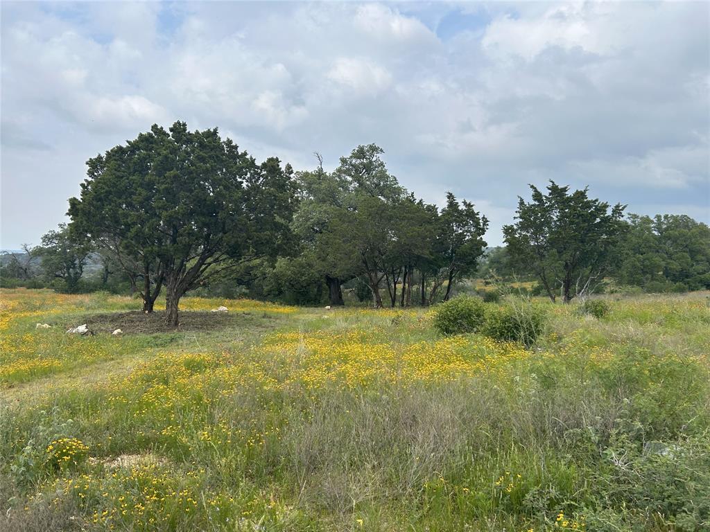 Lot 29 High Range DR