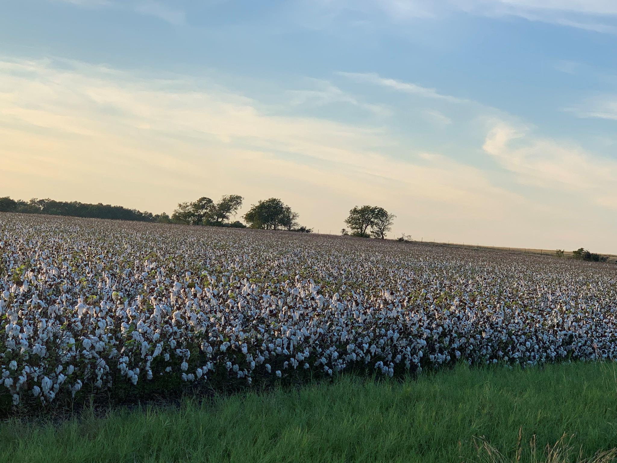 TBD County Road 154