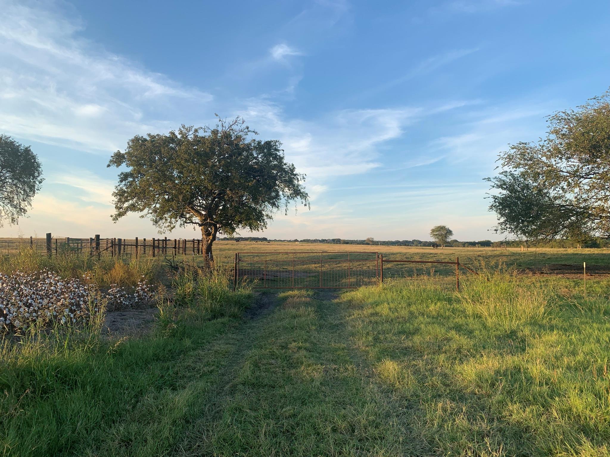 TBD County Road 154