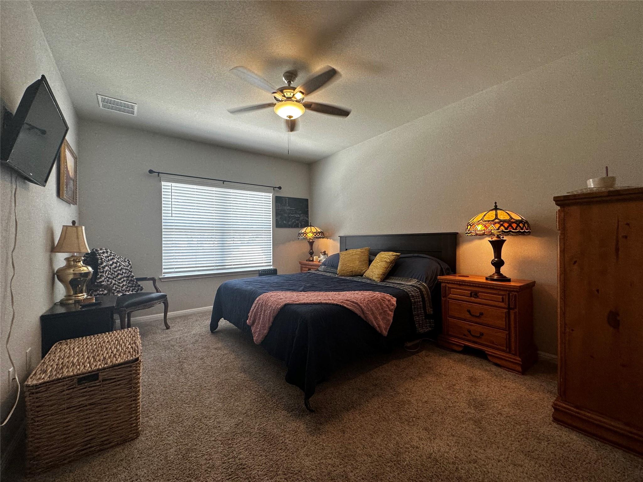 377 Blue Sage DR
