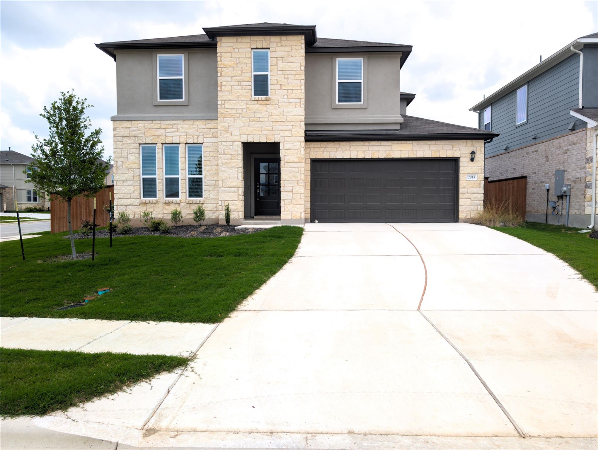 2013 Purple Martin DR