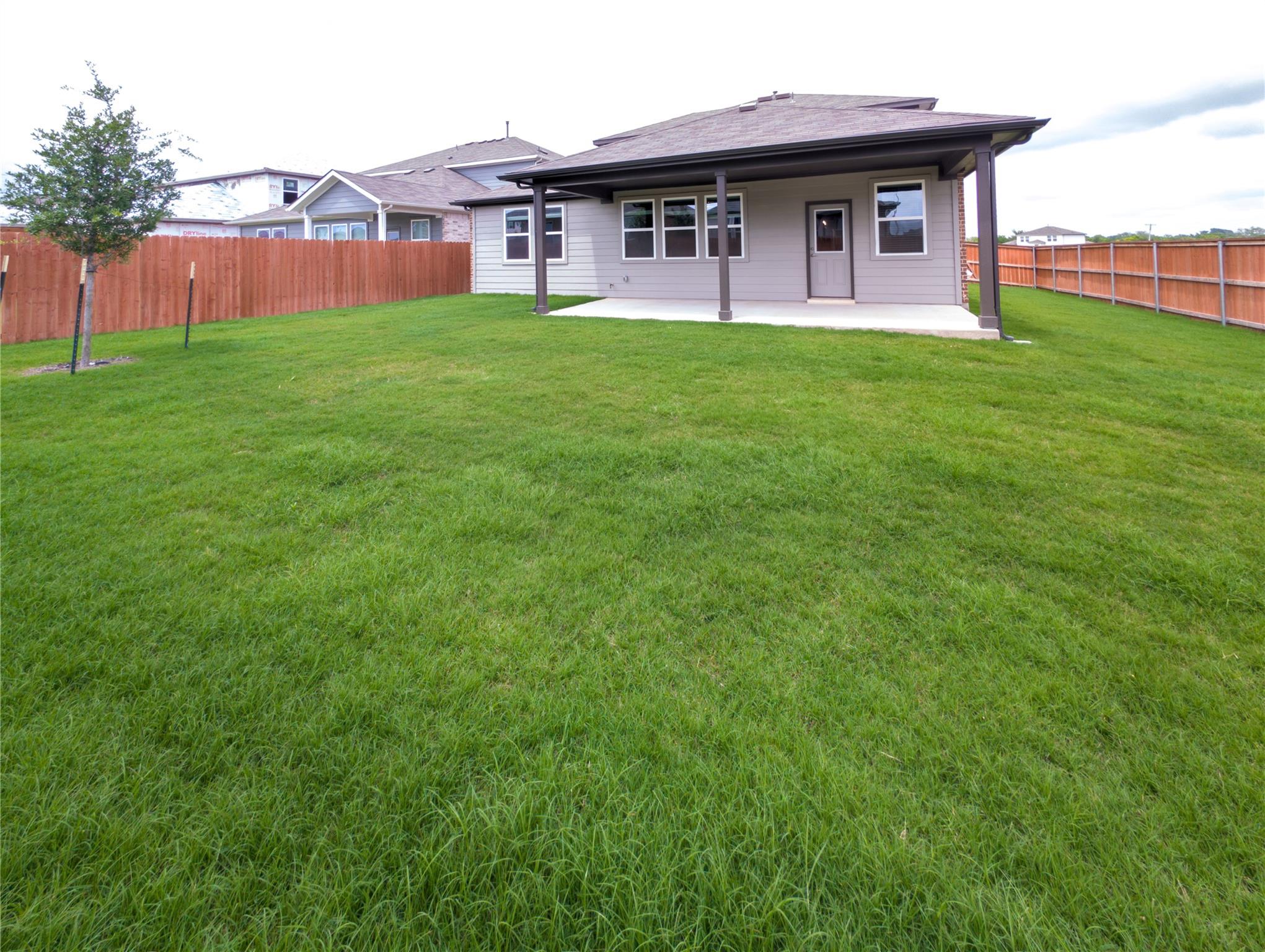 2013 Purple Martin DR