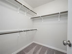 1801 Artesian Springs XING