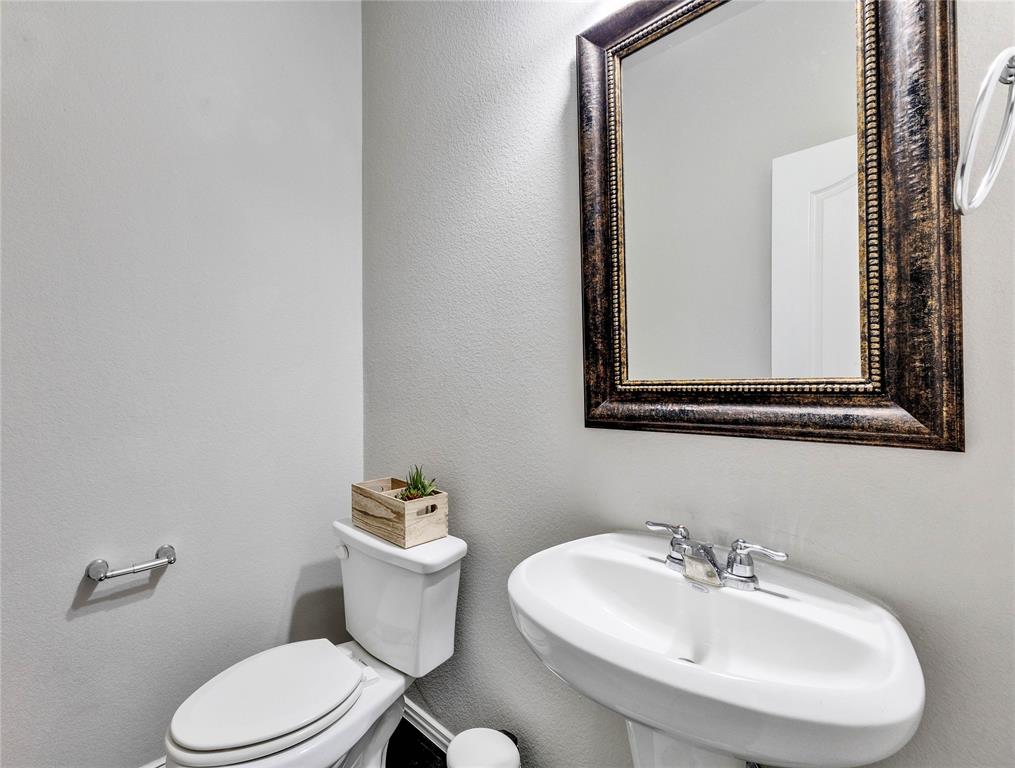 113 Red Matador LN