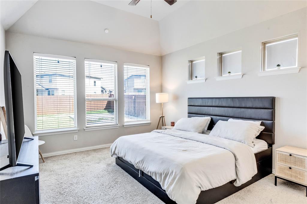 113 Red Matador LN