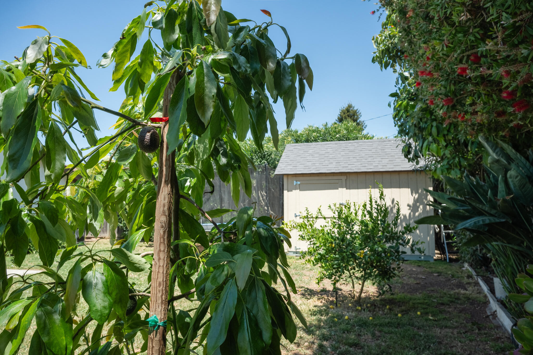 676 San Ramon Drive