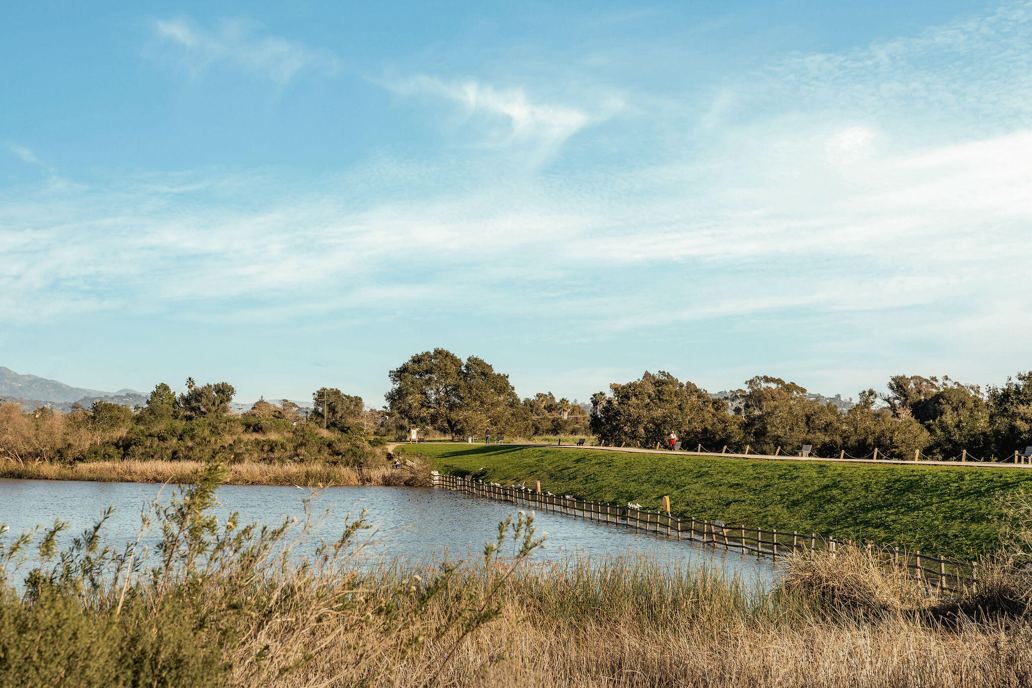 6269 Shamrock Avenue