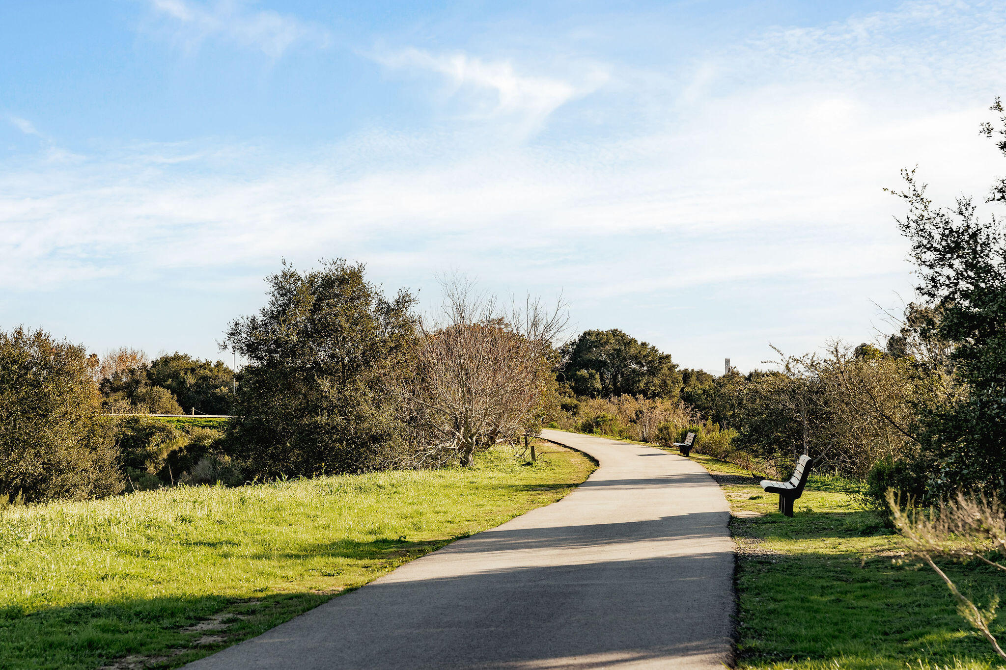 6269 Shamrock Avenue