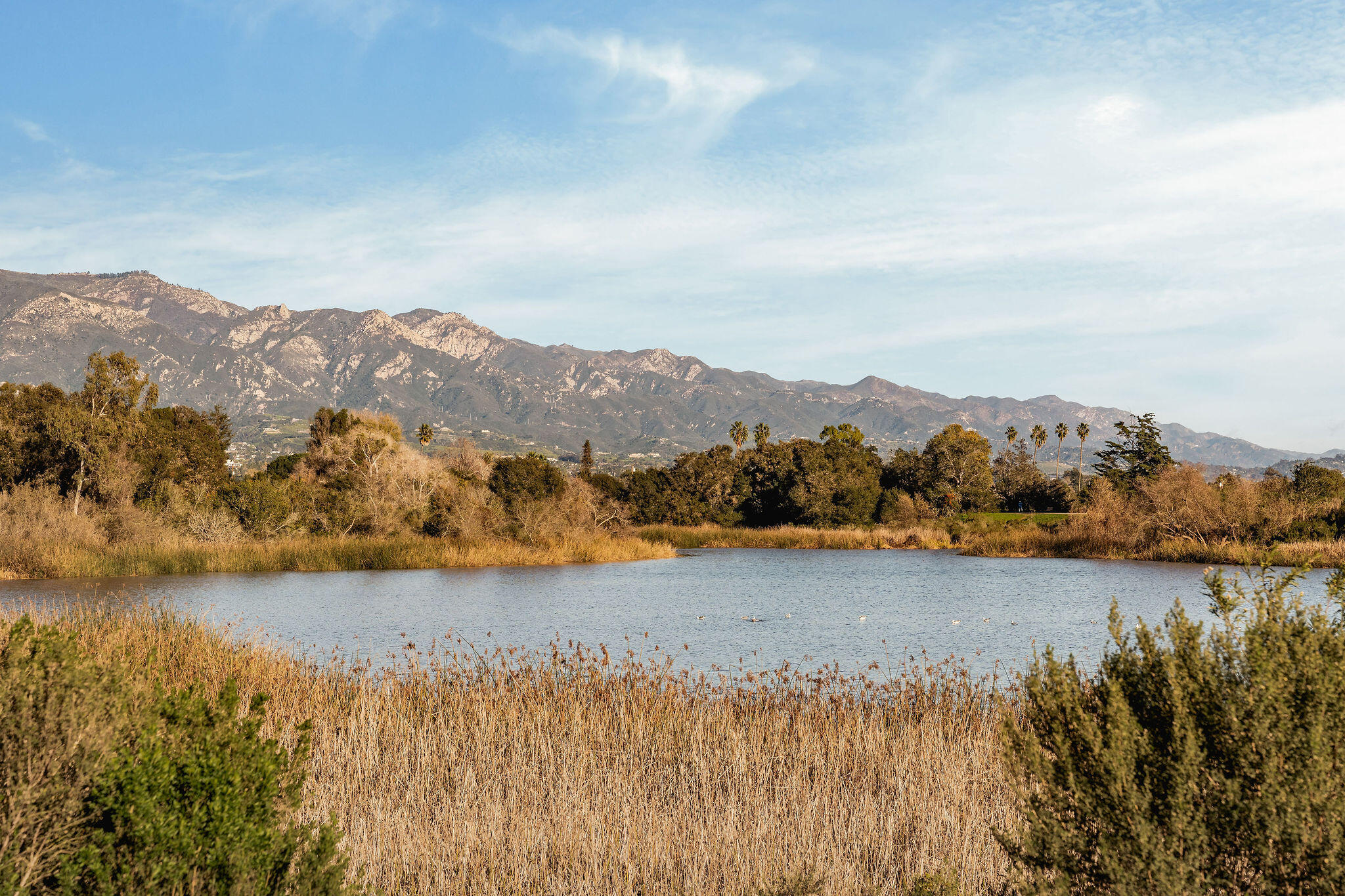 6269 Shamrock Avenue