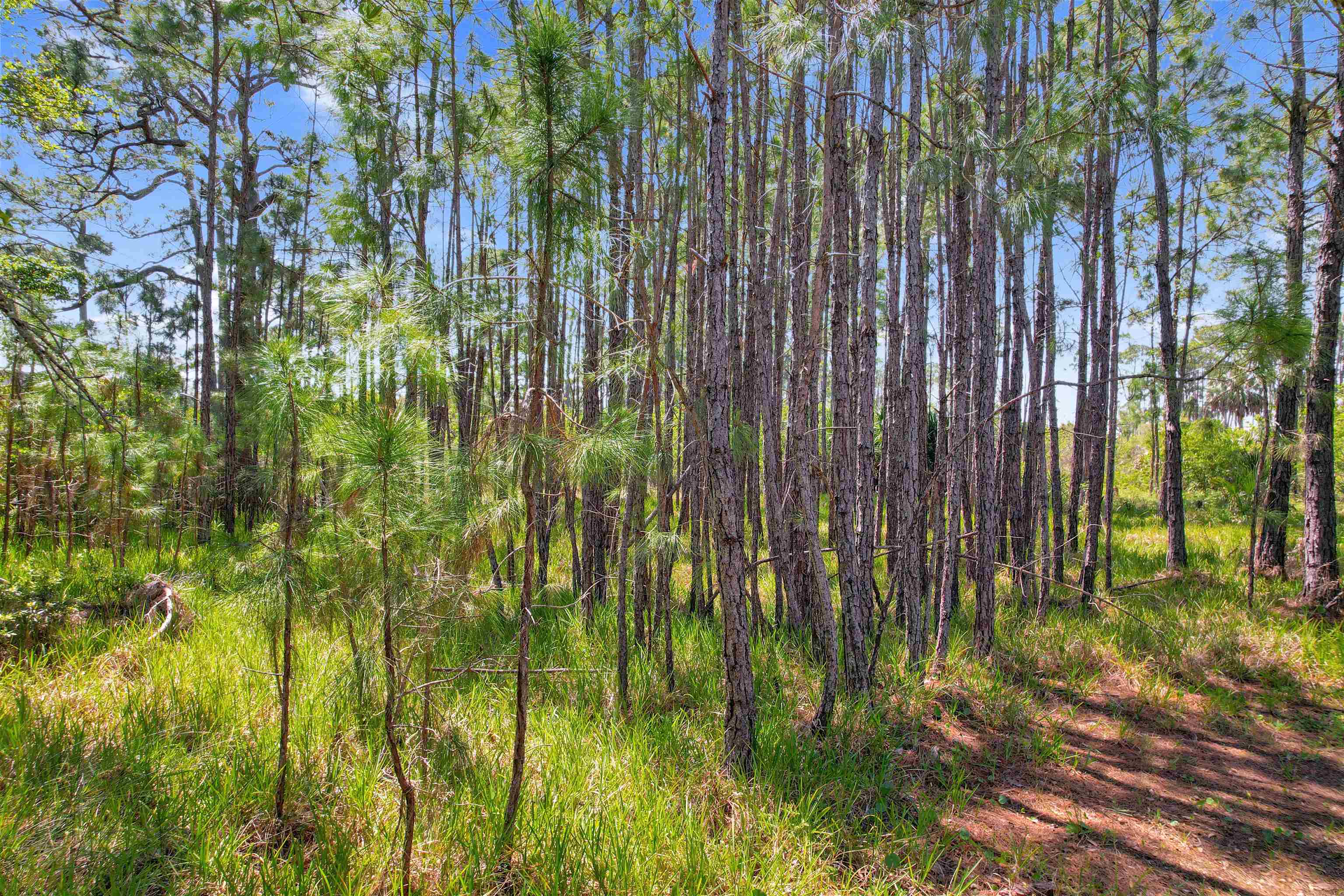 Lot 4 Pelican Bay Street