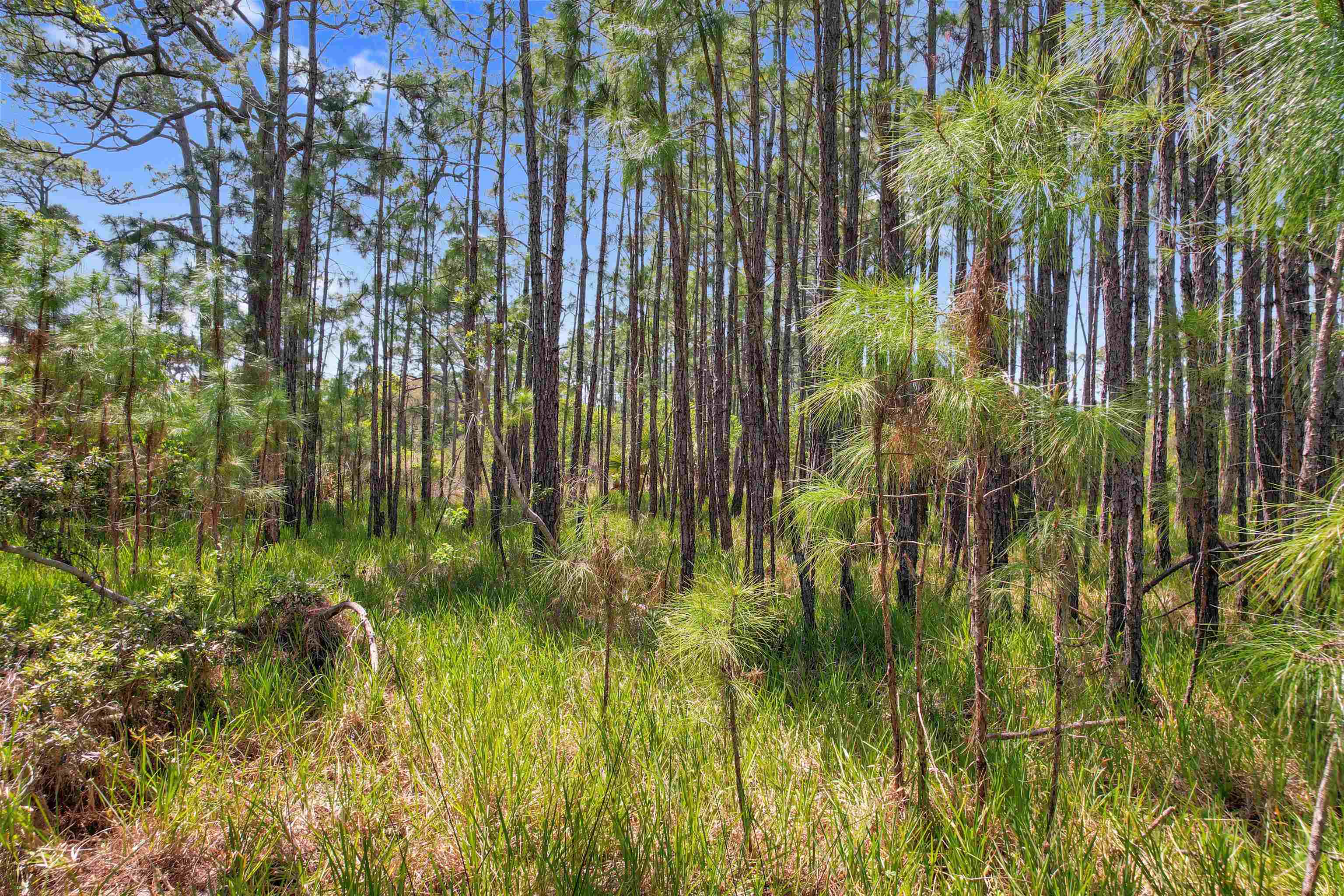 Lot 4 Pelican Bay Street