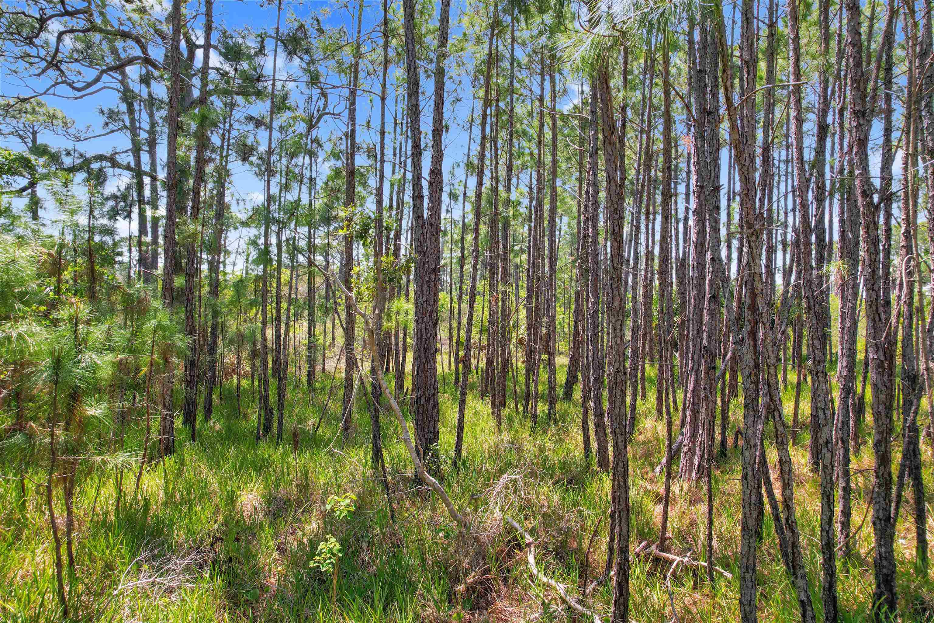 Lot 4 Pelican Bay Street