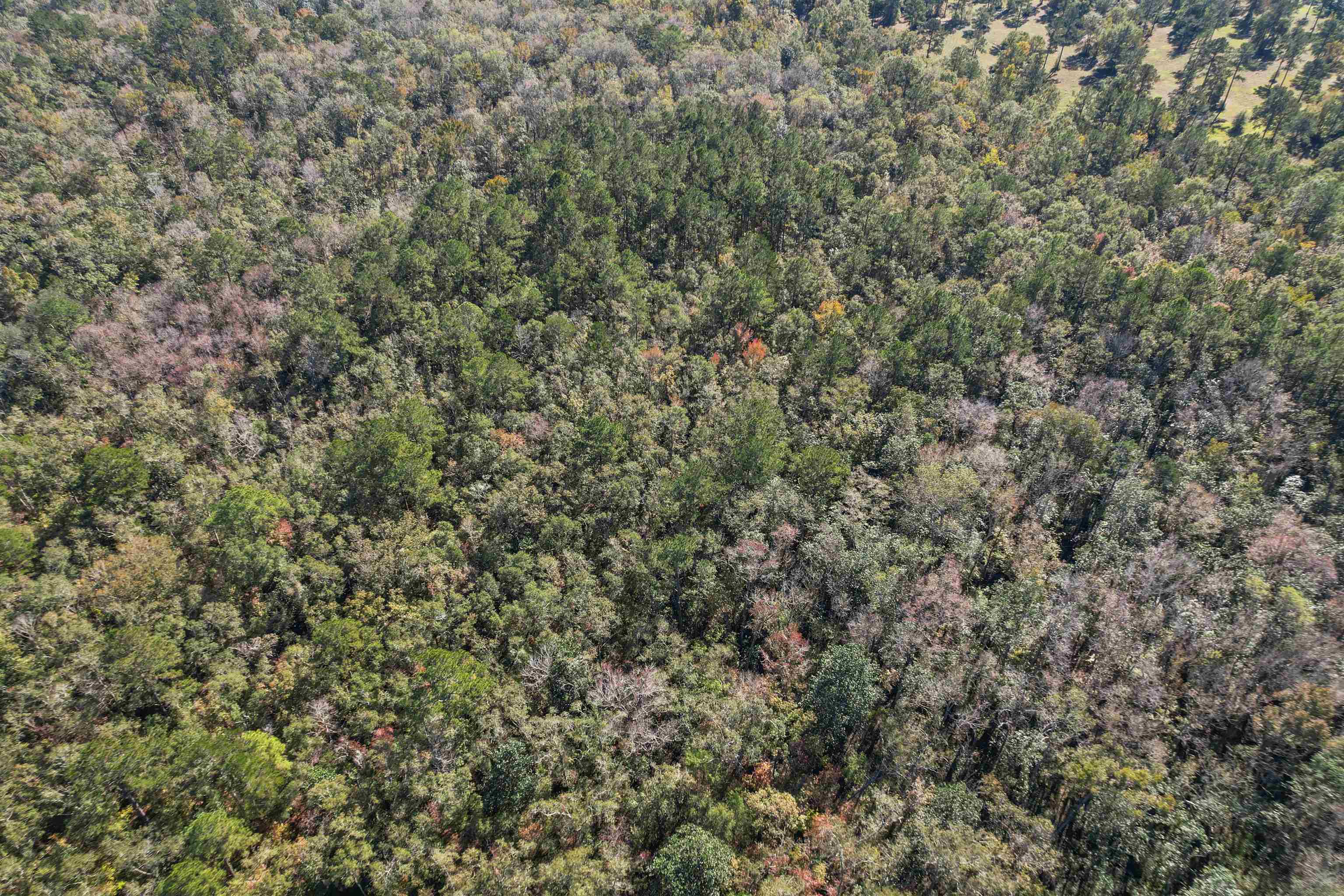 Lot 5 Watermill Road