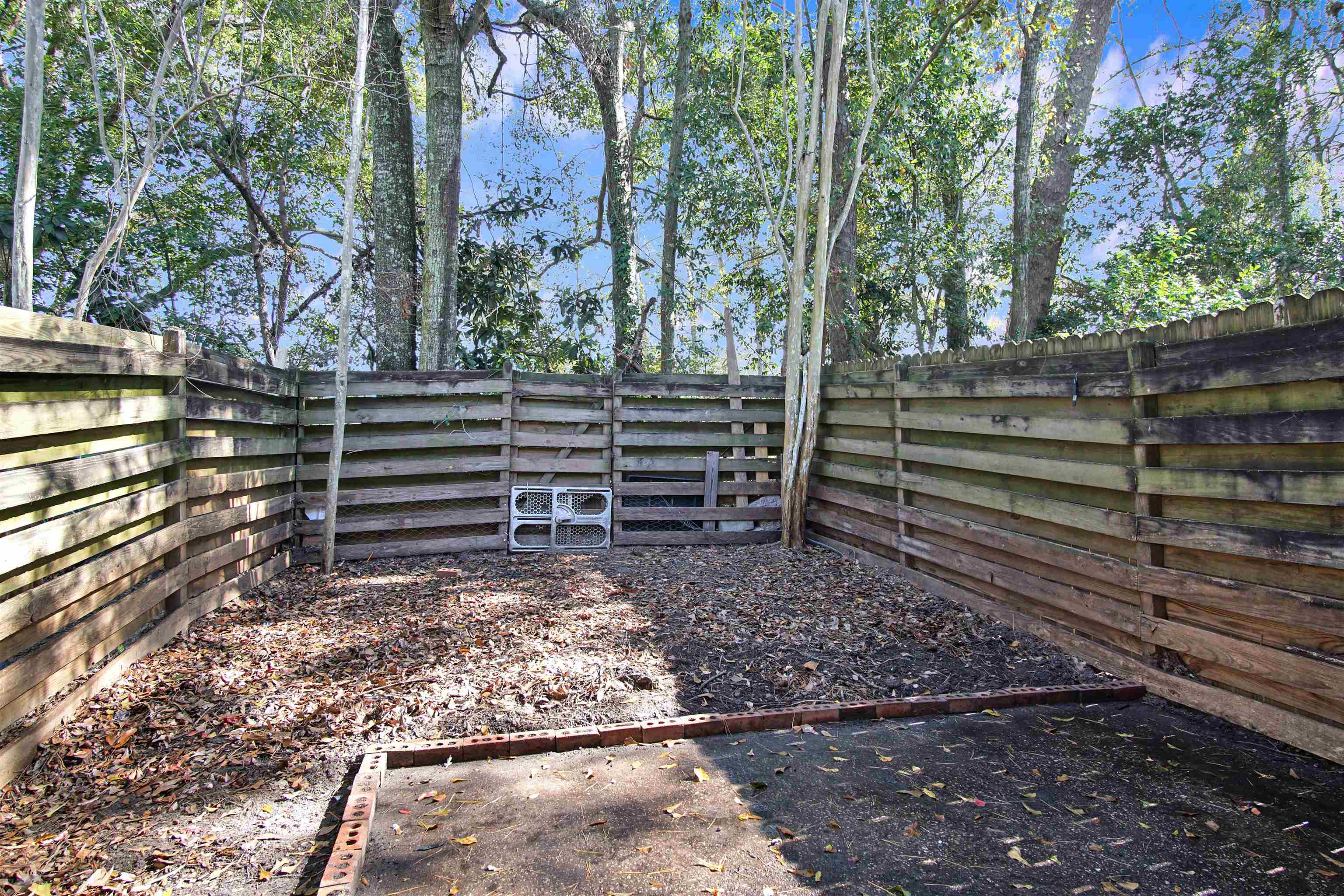 1497 Live Oak Drive