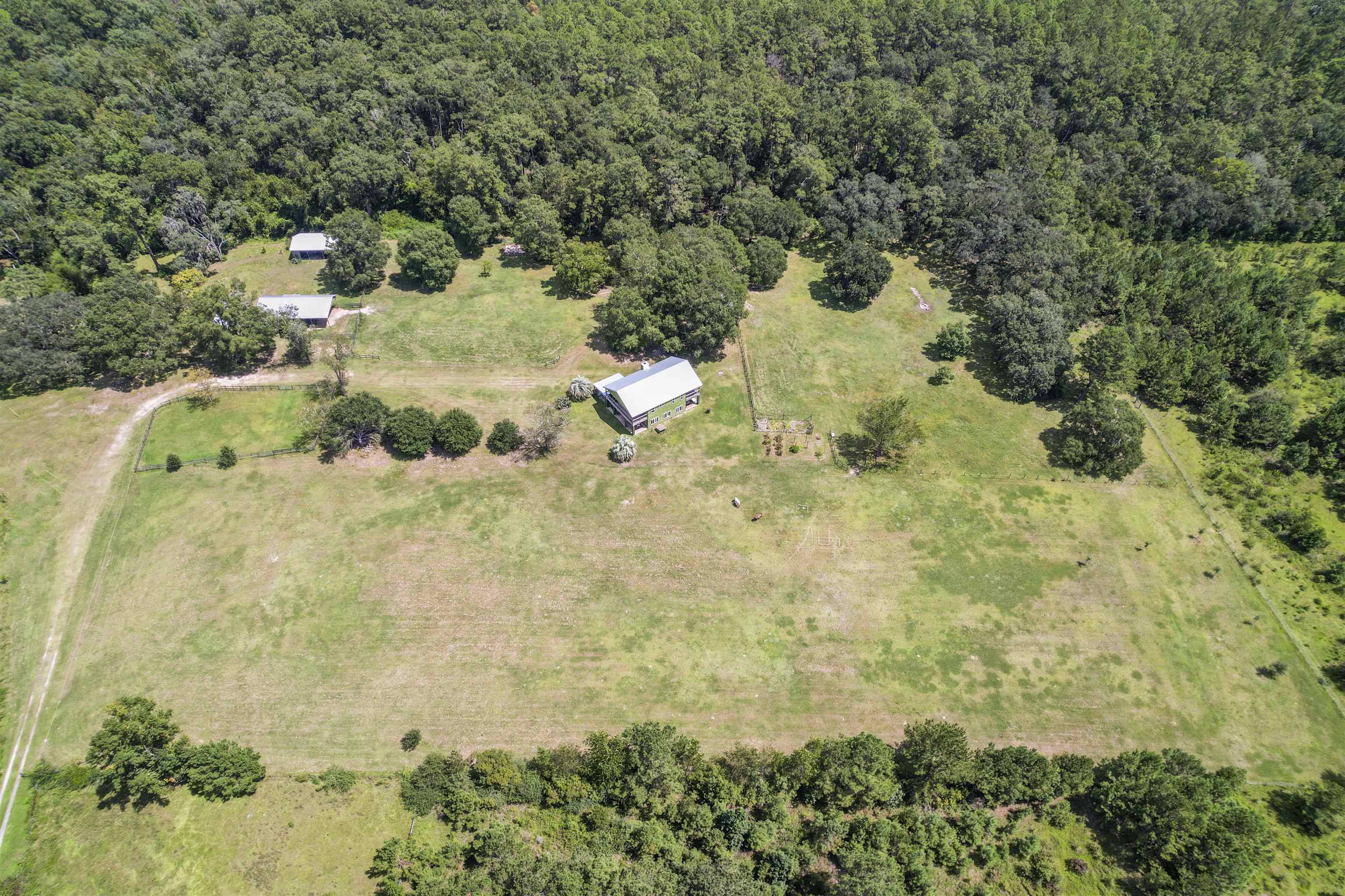 13050 Forest Run Court