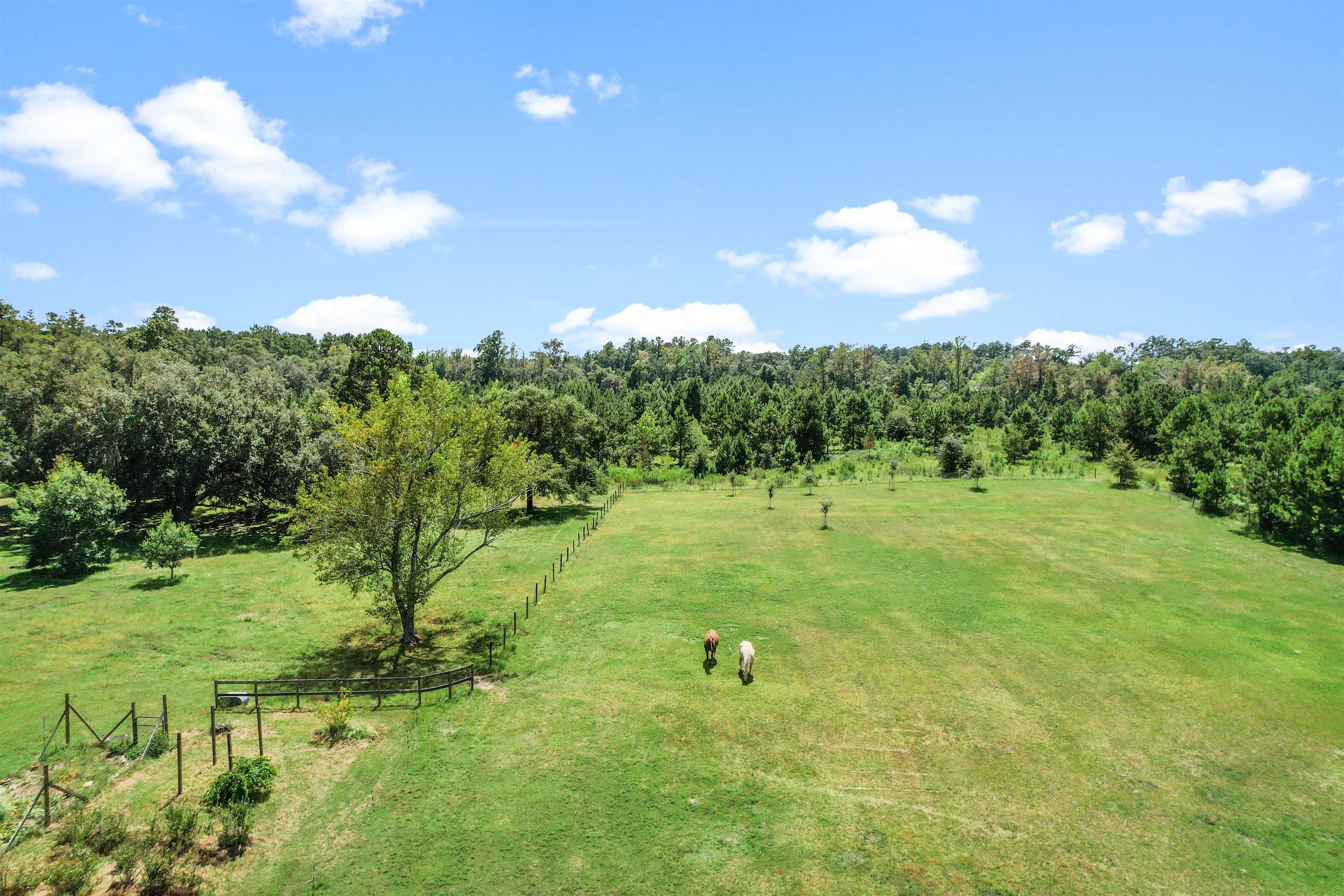 13050 Forest Run Court