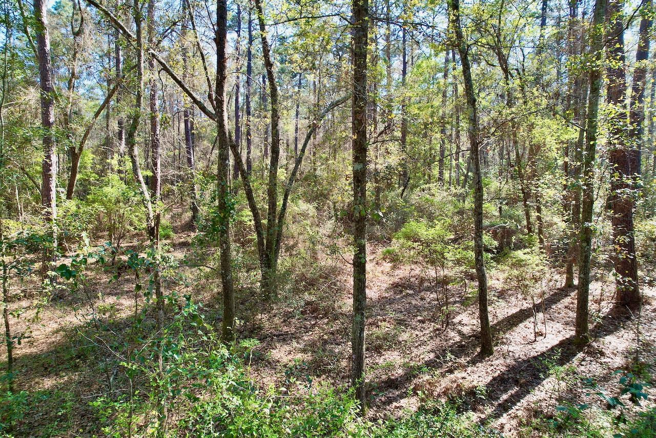 0 Amber Valley Drive