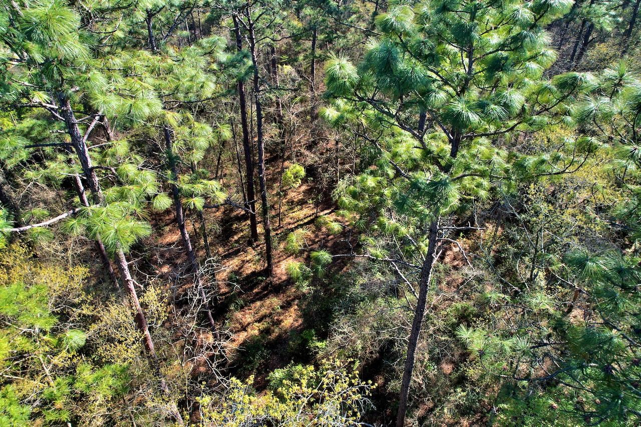 0 Amber Valley Drive