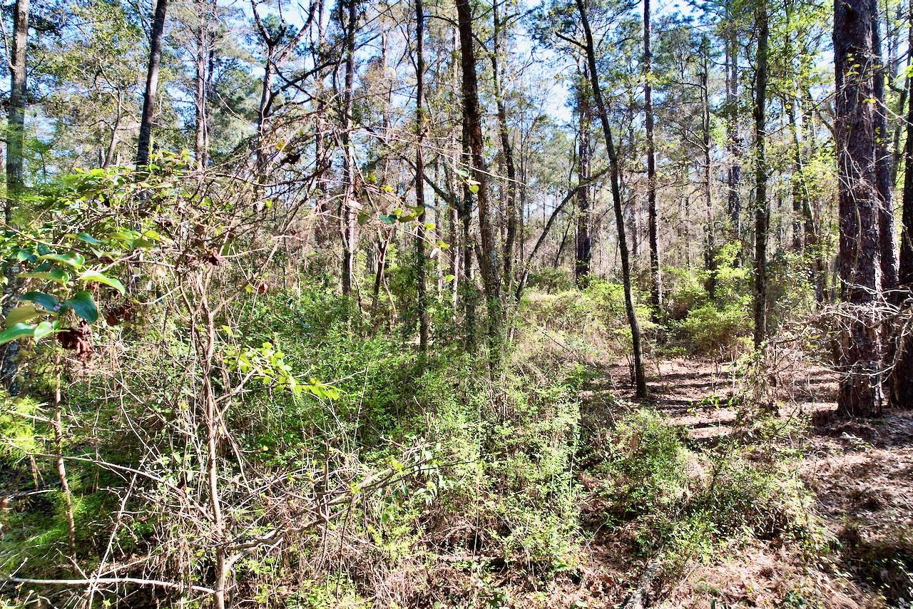 0 Amber Valley Drive