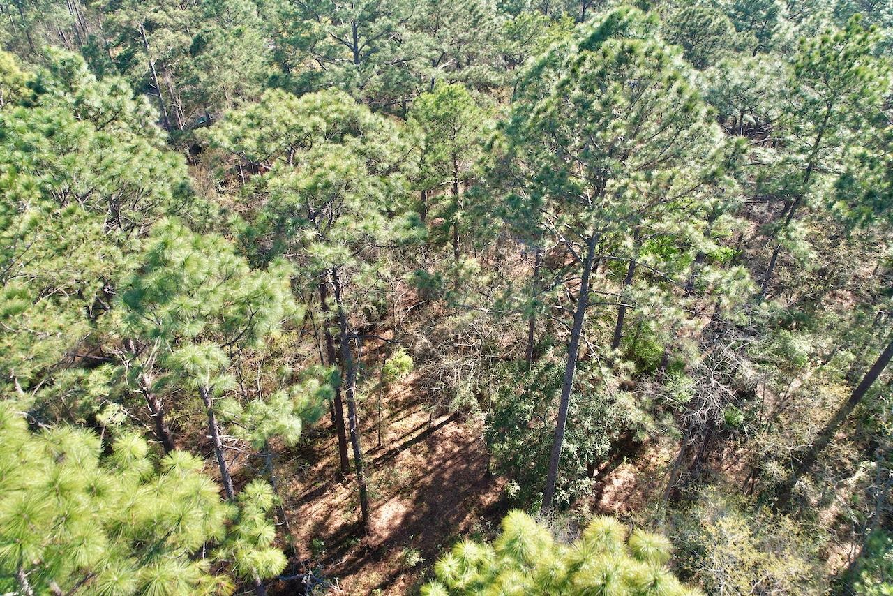 0 Amber Valley Drive