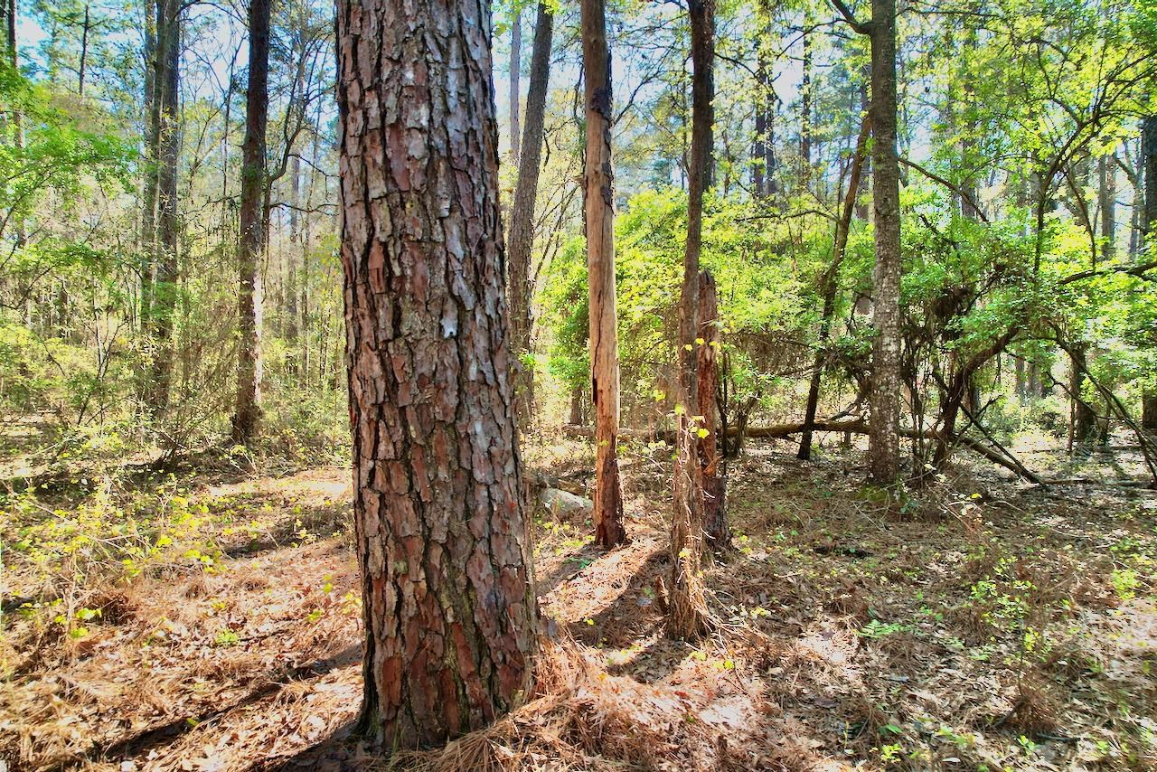 0 Amber Valley Drive