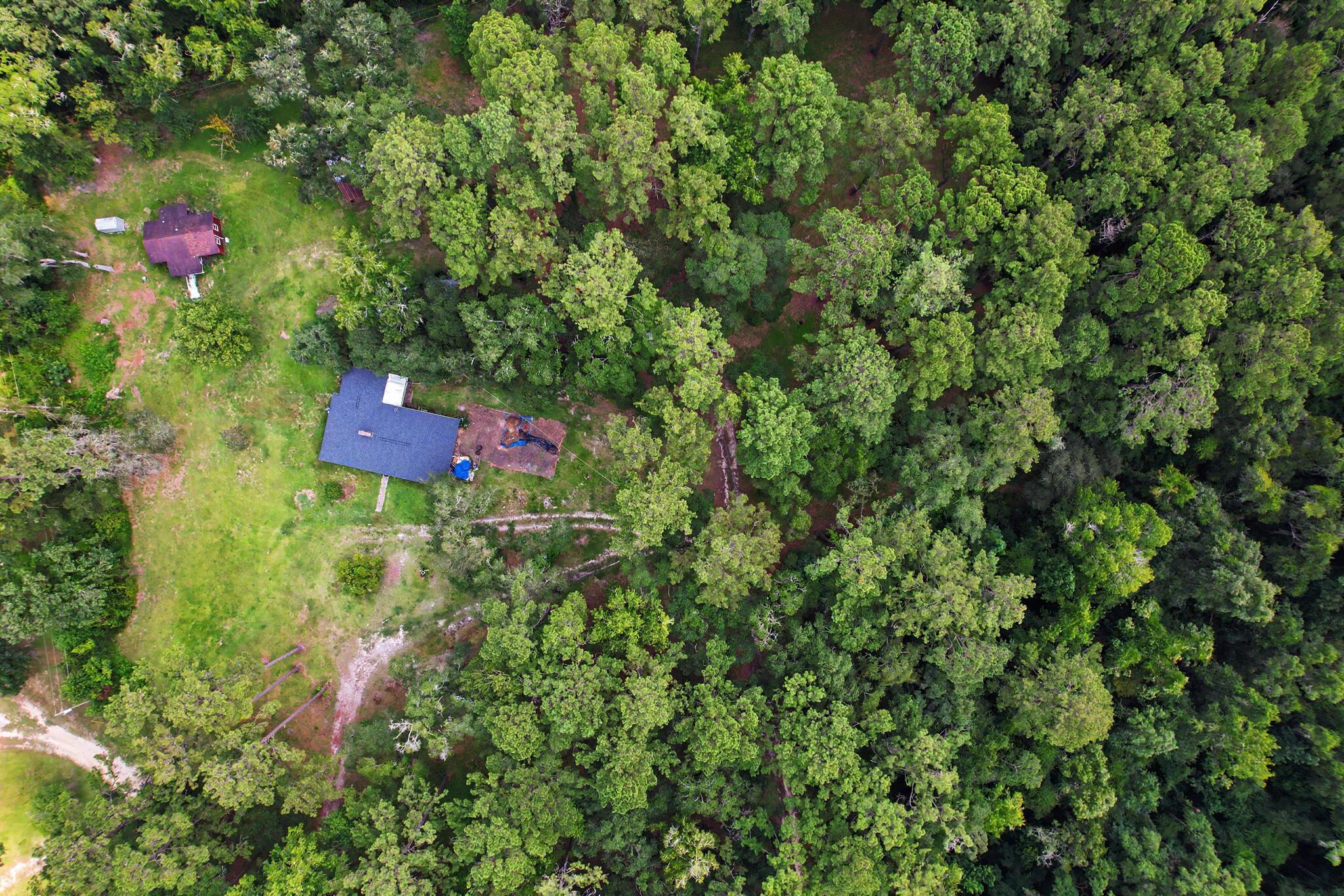 3232 Robinson Oak Drive