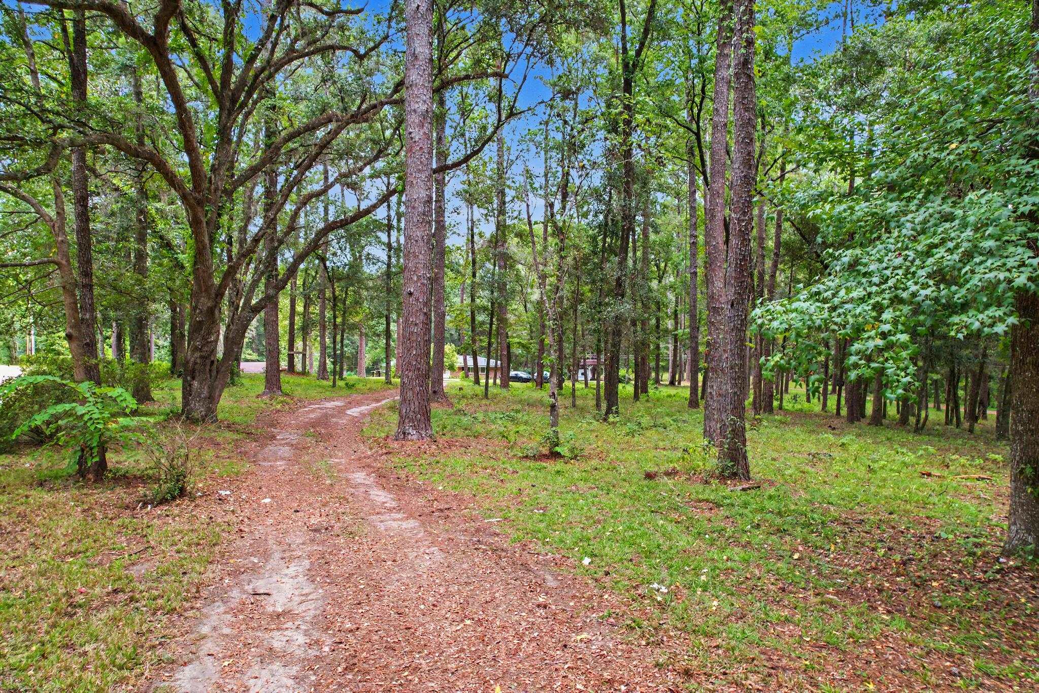 3232 Robinson Oak Drive