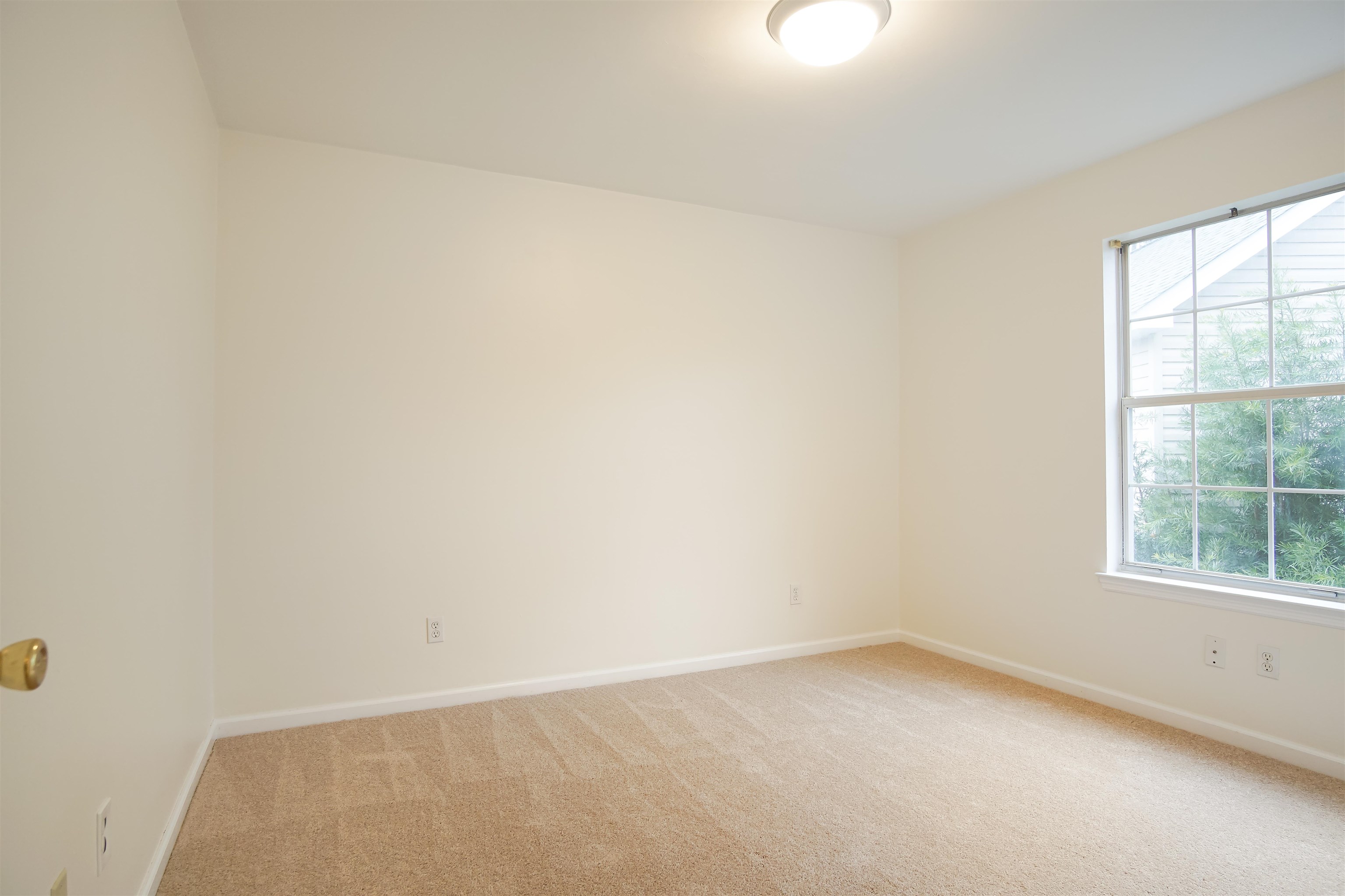4420 Siesta Court