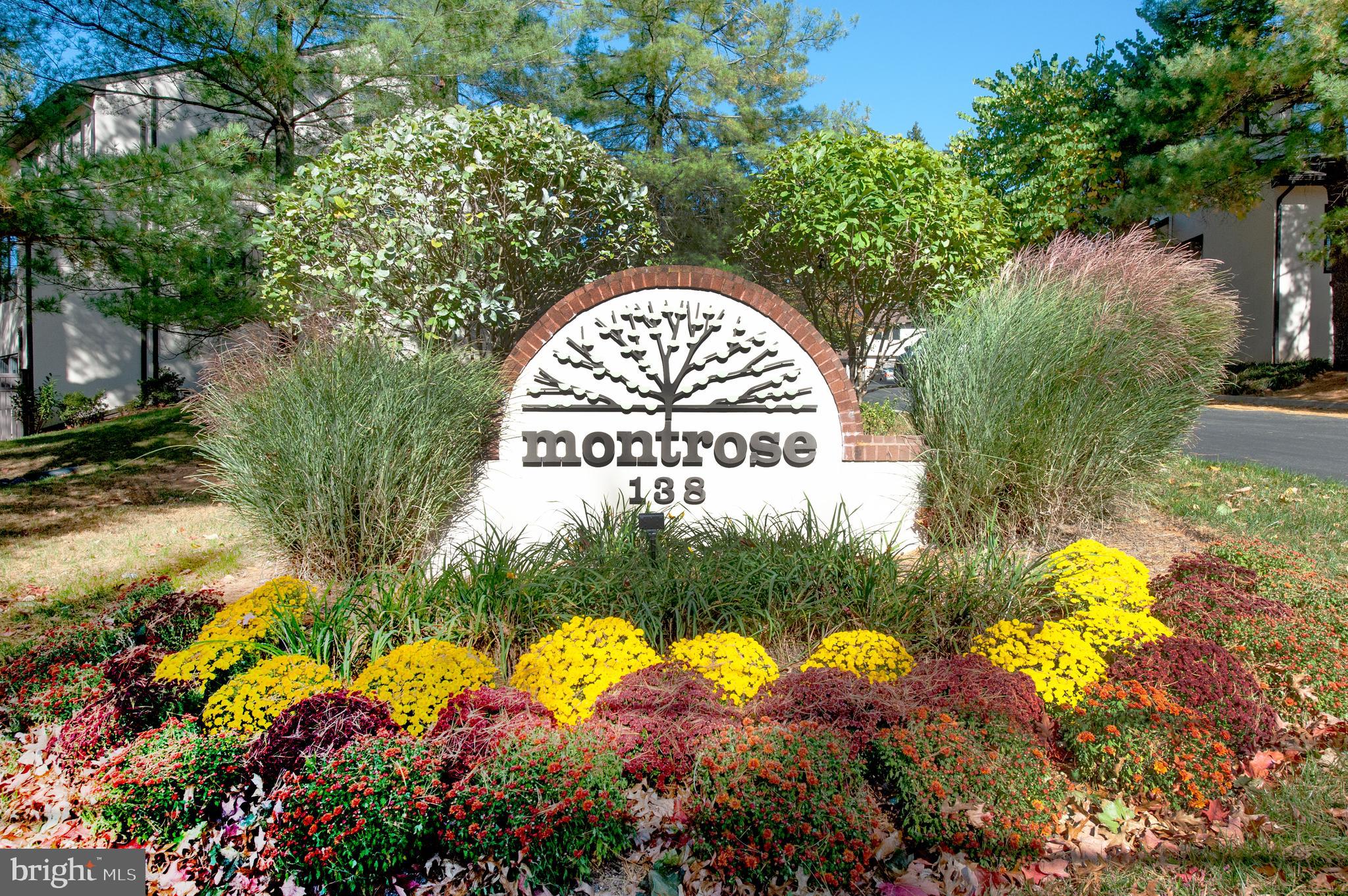 138 Montrose Ave #17