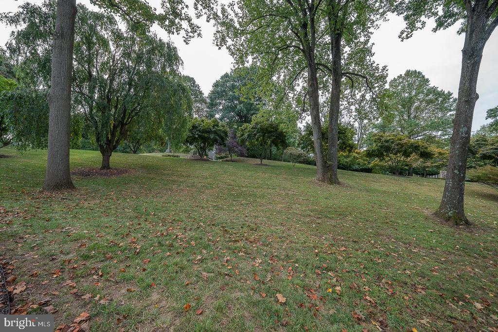 5 Honeysuckle Ct