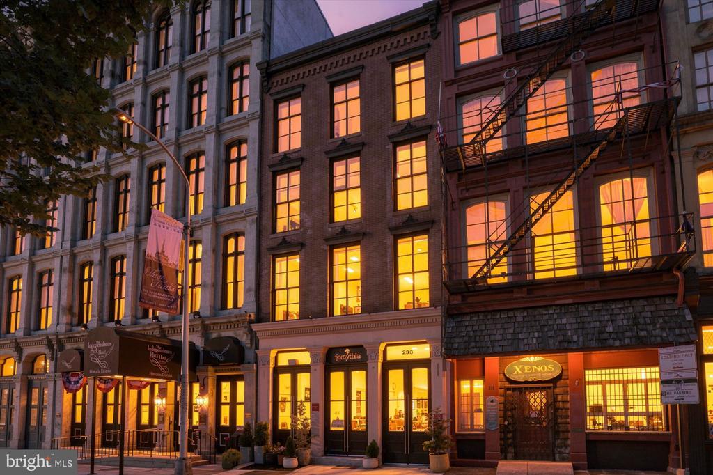 233 CHESTNUT STREET Unit: 3
