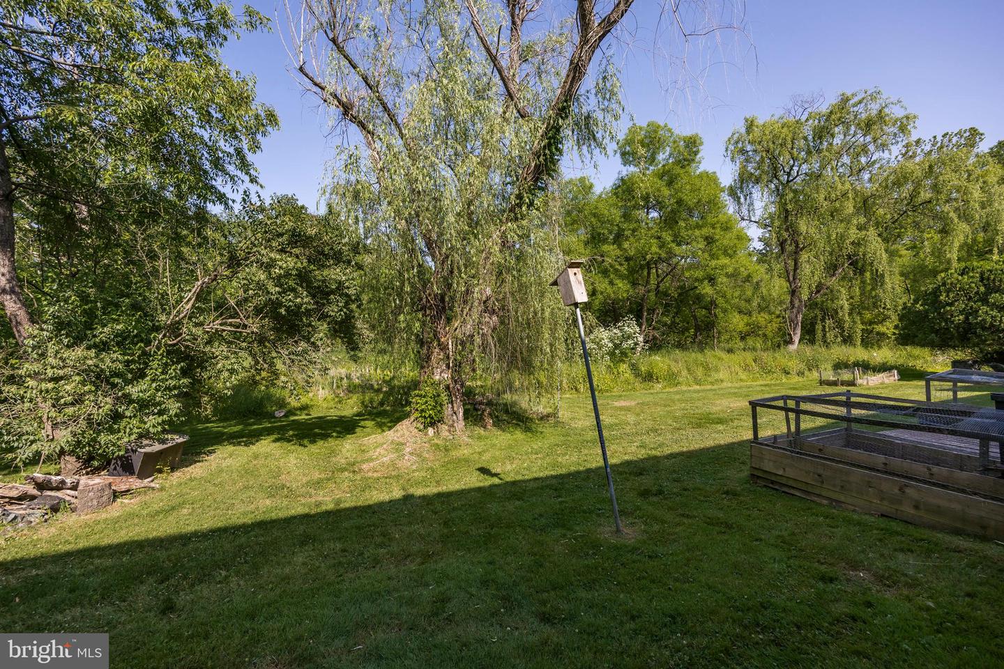 51 Brighton Ct