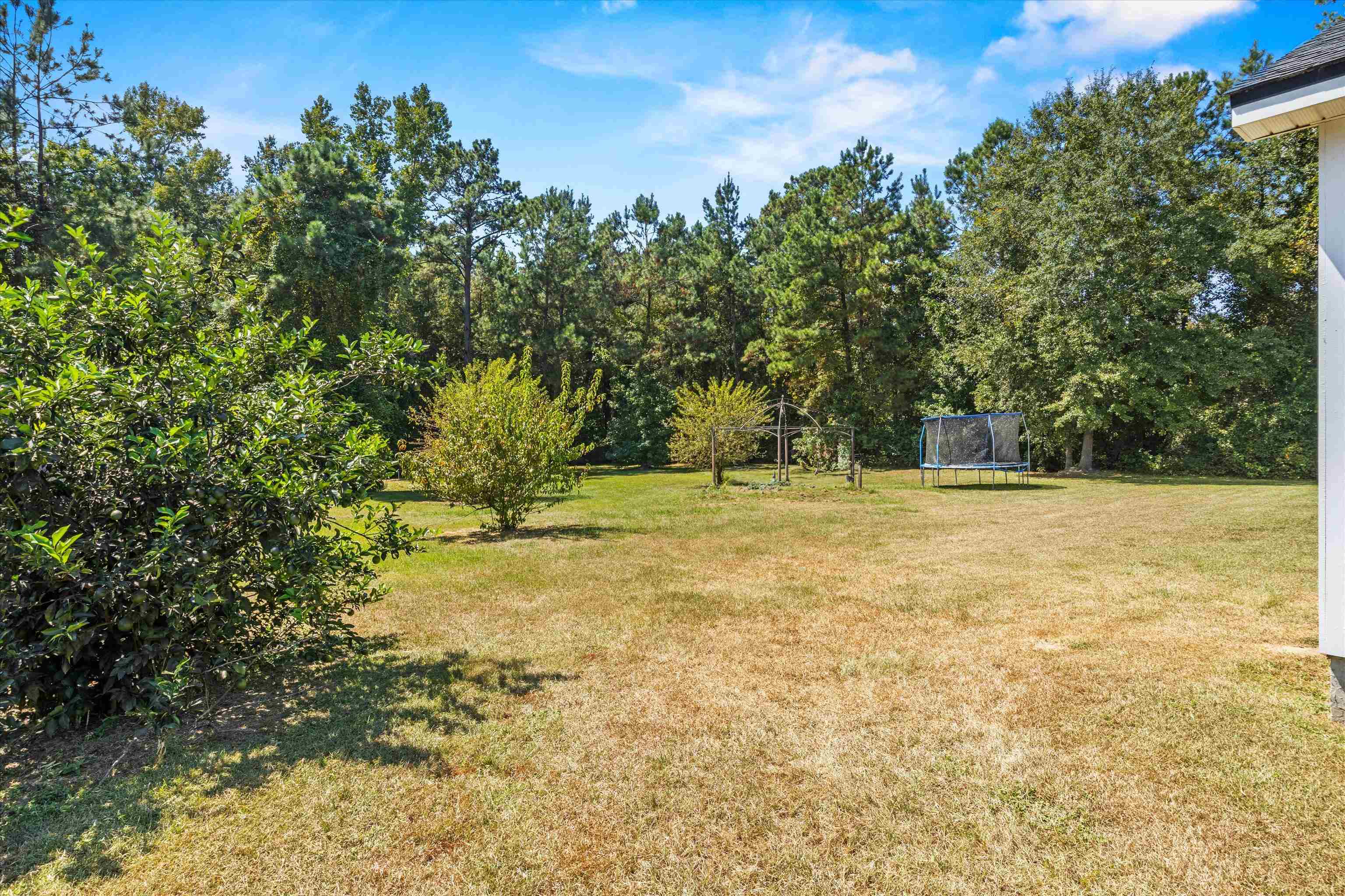 255 San Bonita Way