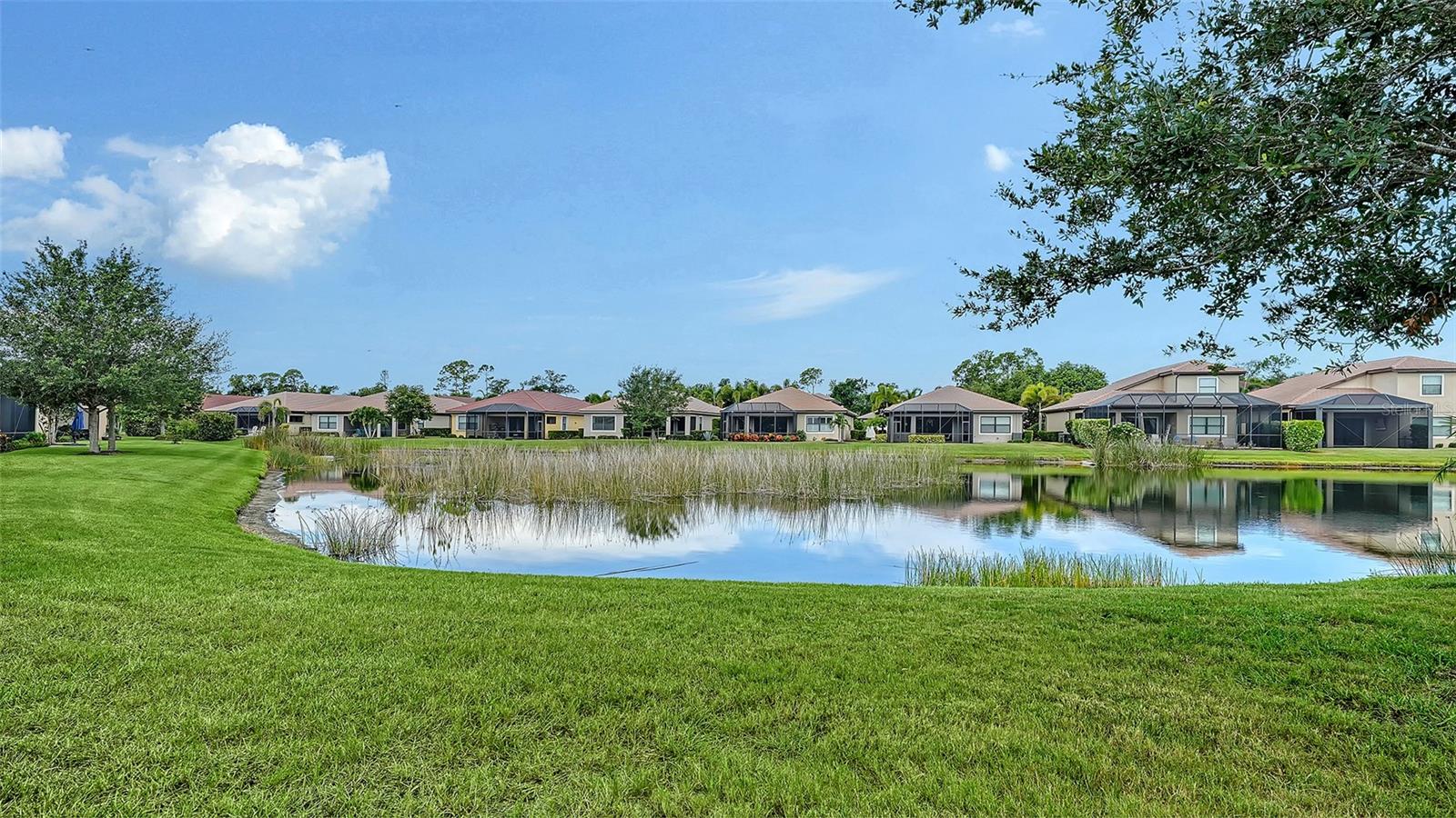 1051 BRADBERRY DR