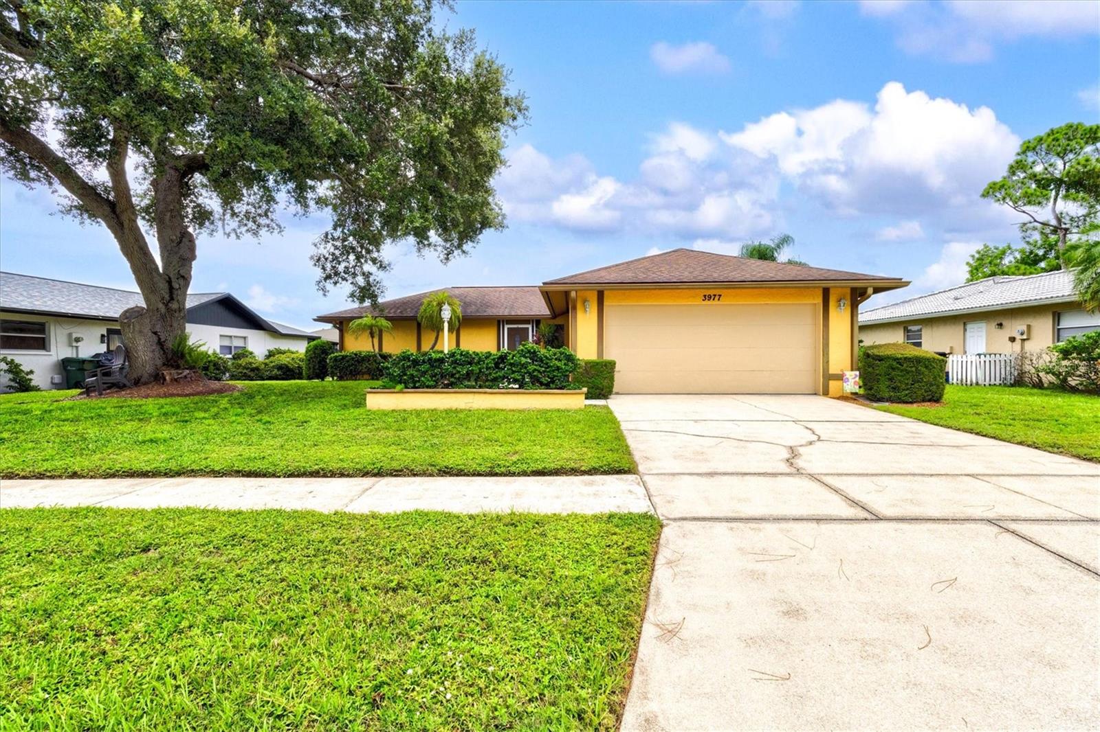 3977 LEMONWOOD DR