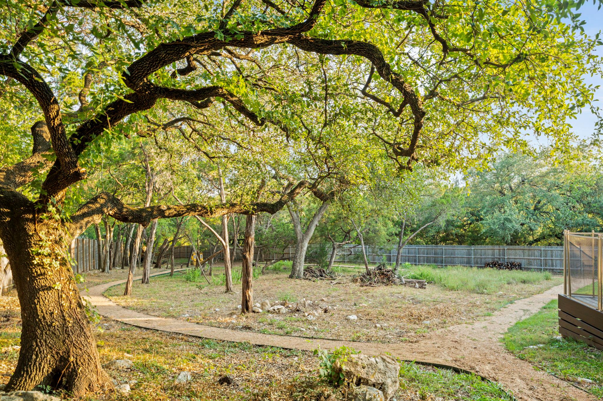 6301 Mountain Park CV