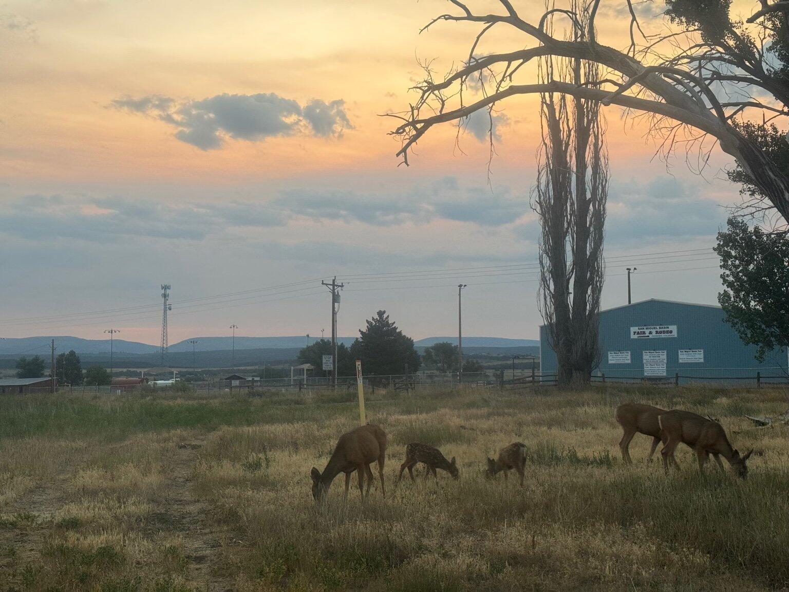 105 S Oro Lot 6 Place