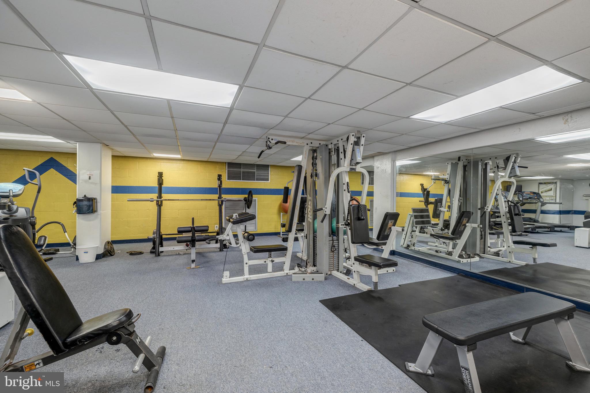 4501 Blvd #424