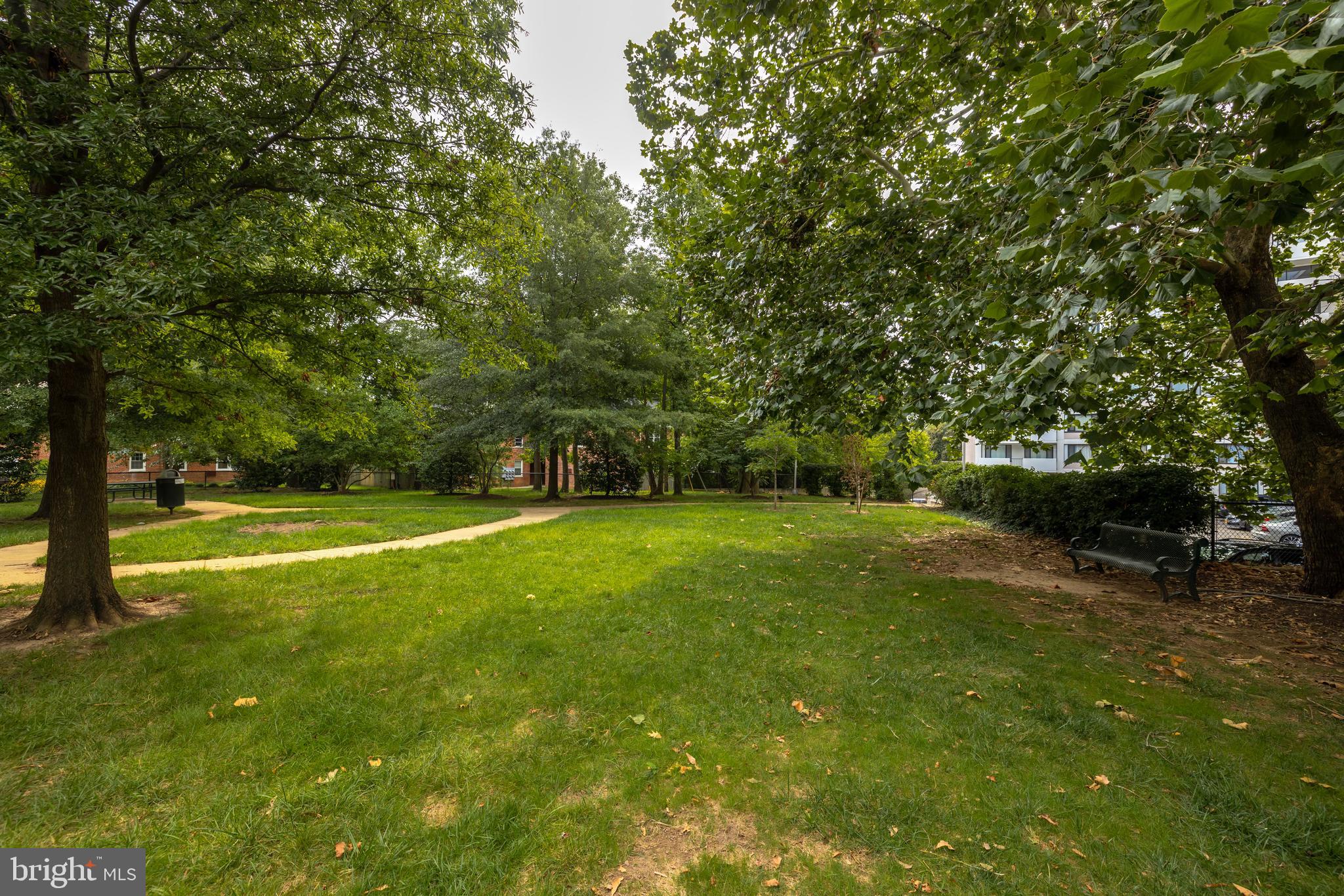 4501 Blvd #424