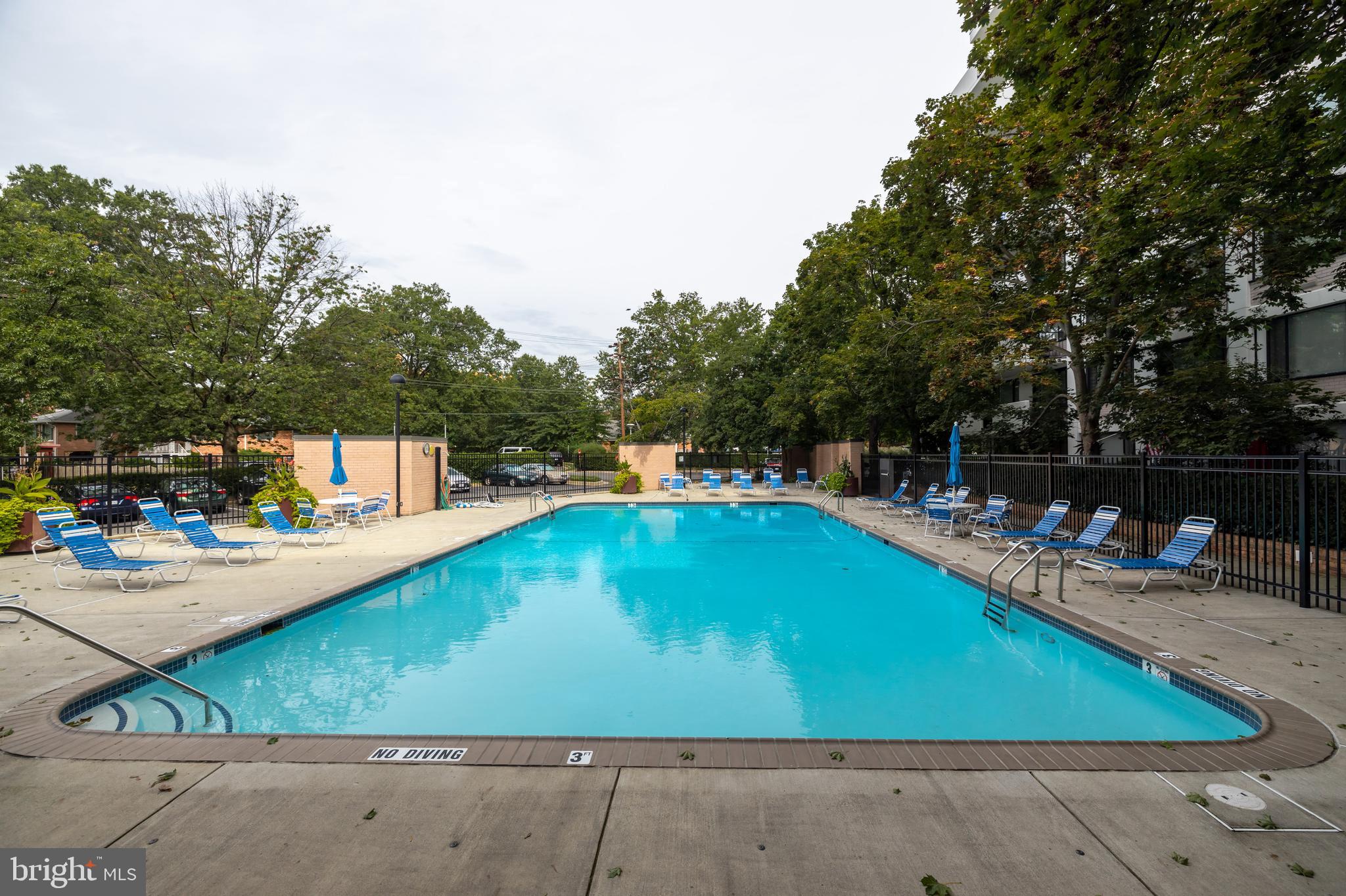 4501 Blvd #424