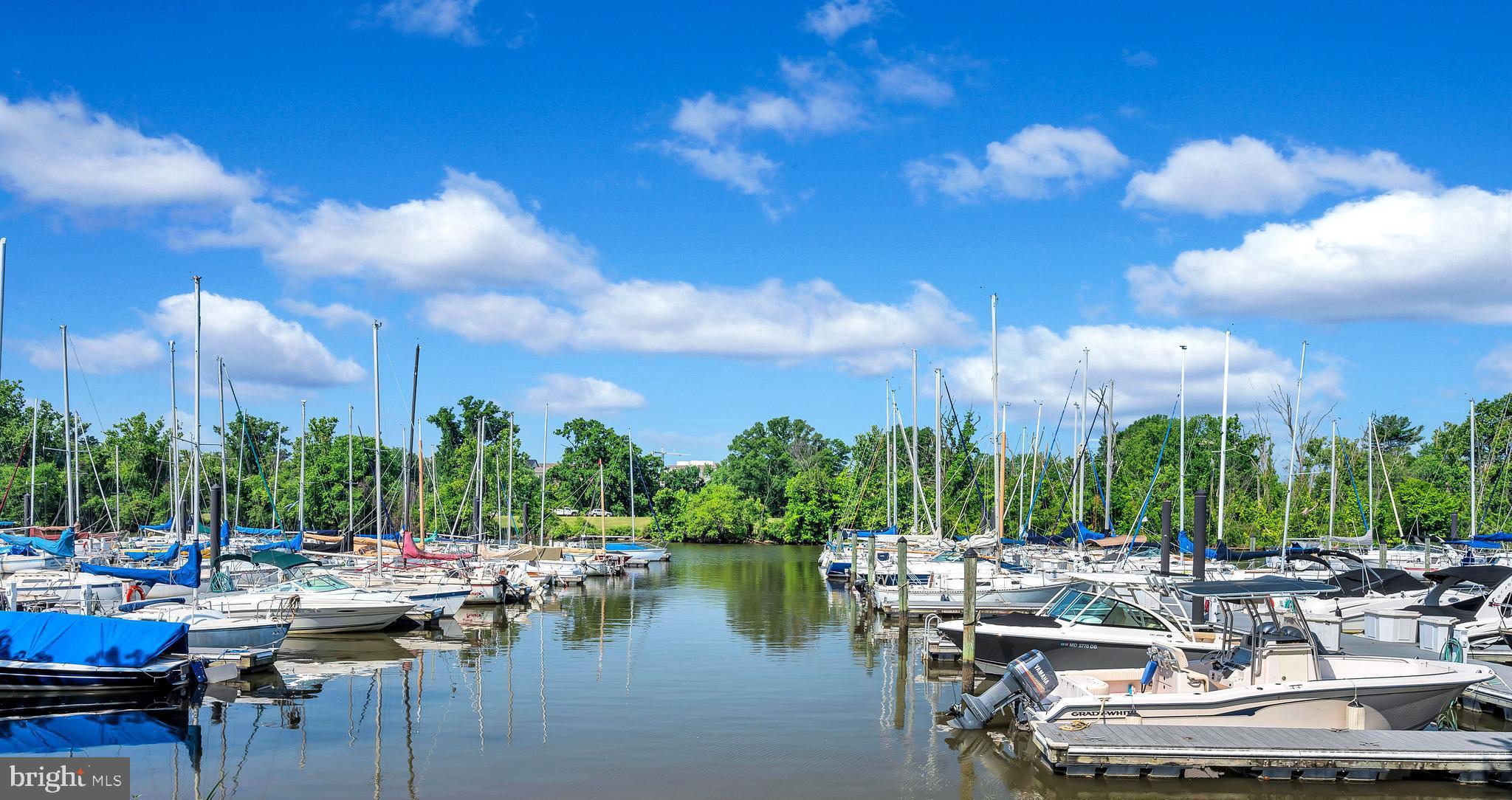 1857 Potomac Greens Dr