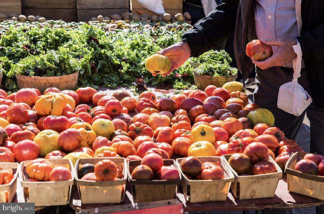 1023 N ROYAL STREET 214