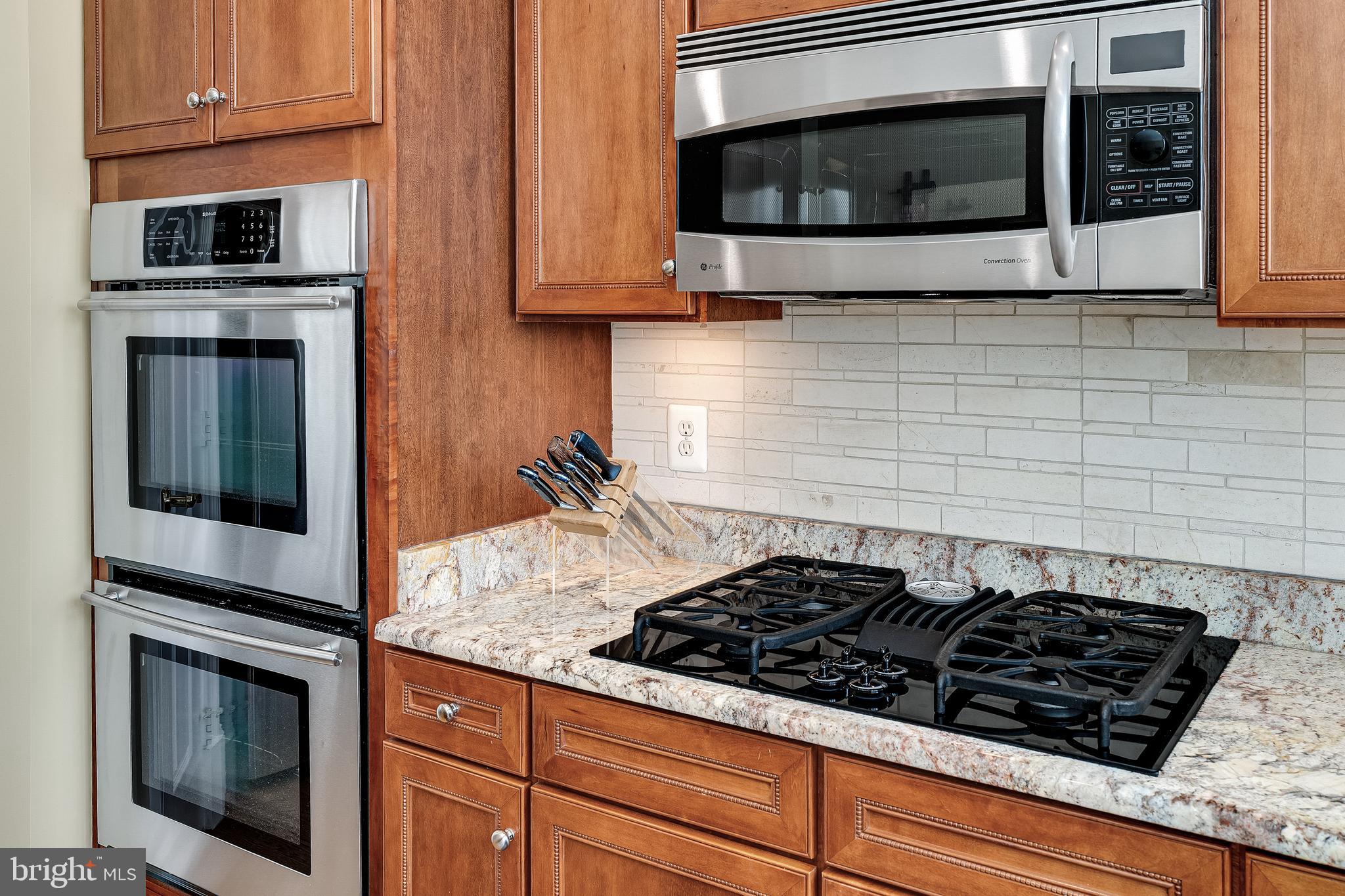 1769 POTOMAC GREENS DRIVE