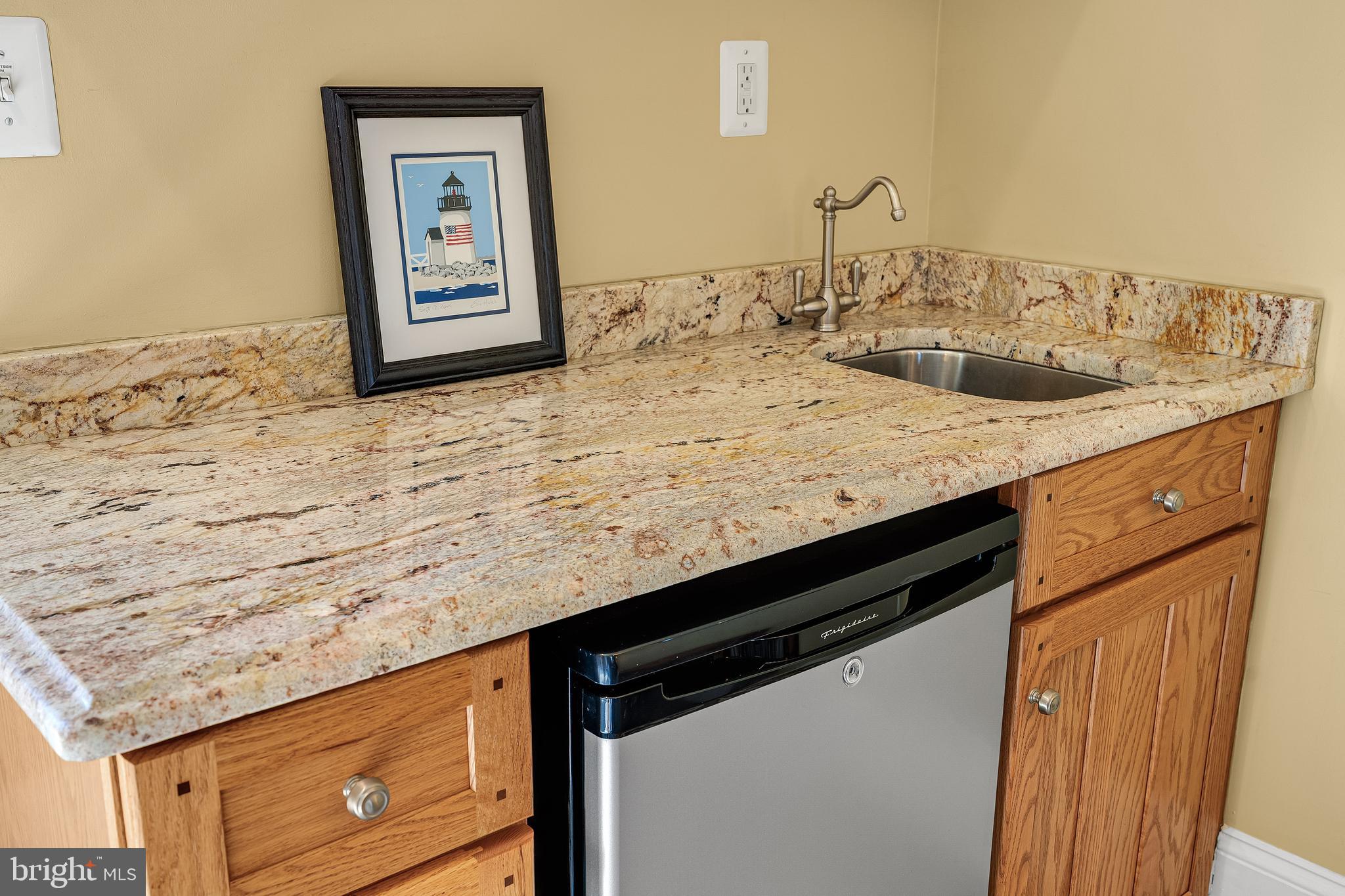 1769 POTOMAC GREENS DRIVE